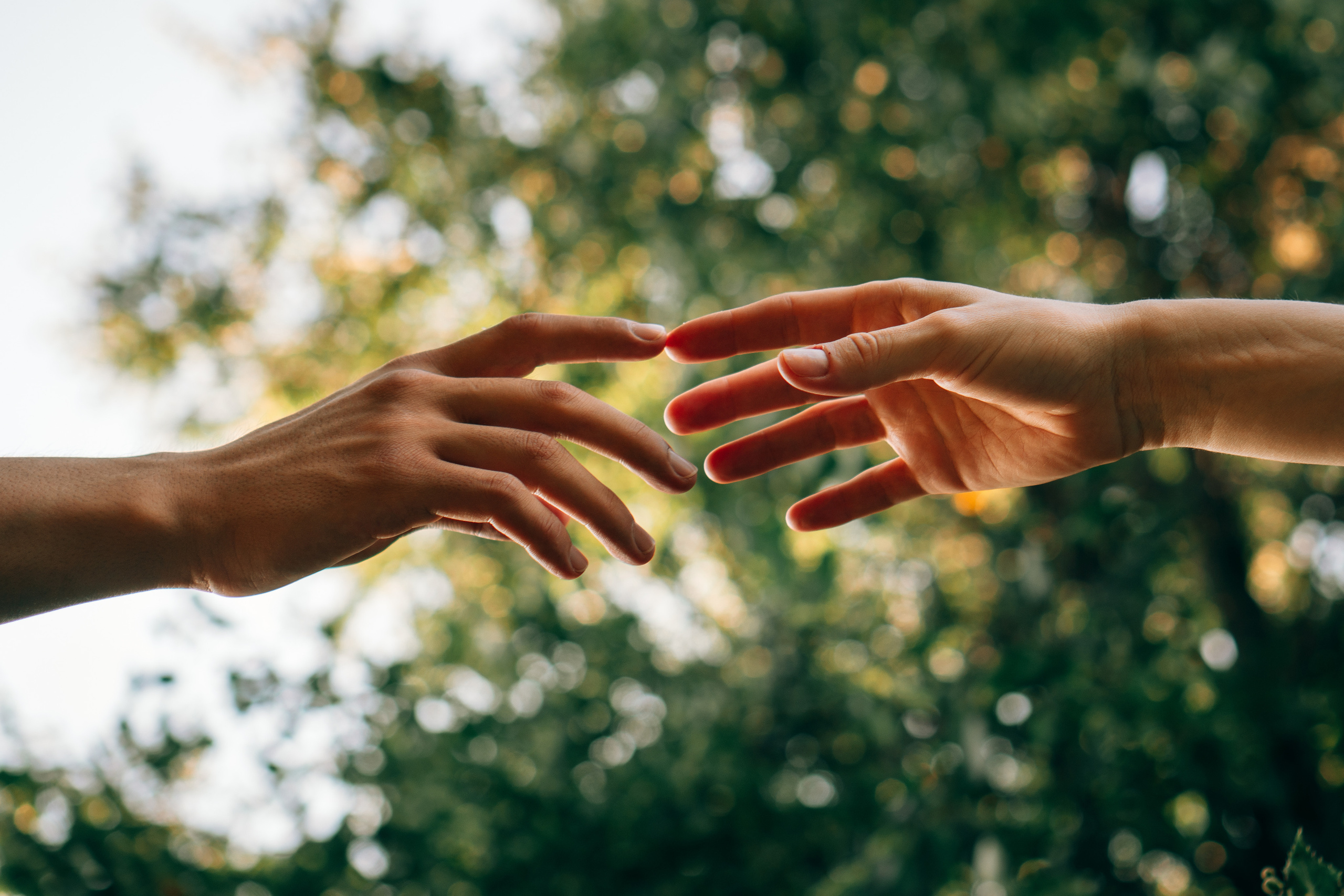 руки тянутся друг к другу на фоне зелени