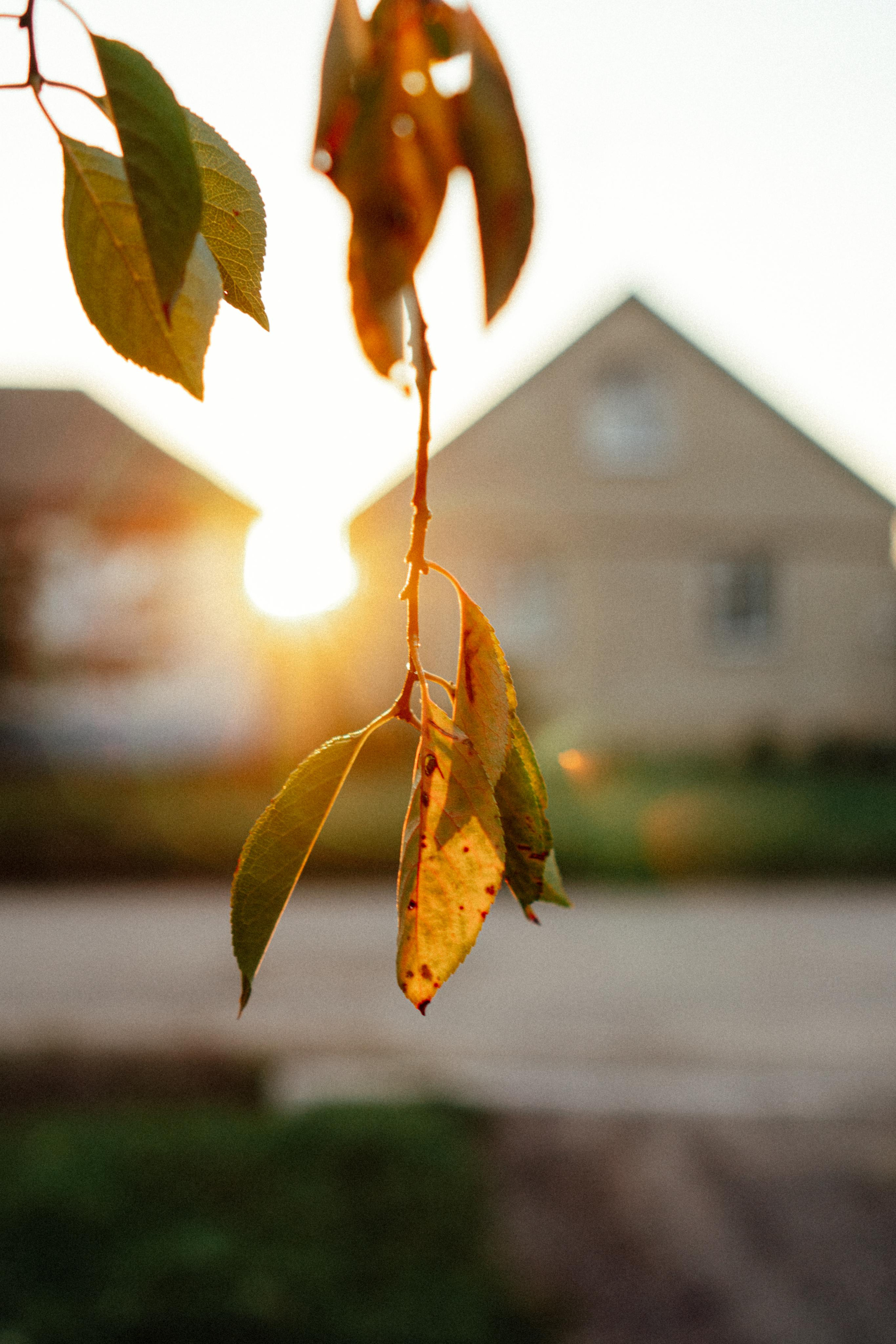 Лето — это маленькая жизнь. Семейный фотограф в Москве Ирина Жур