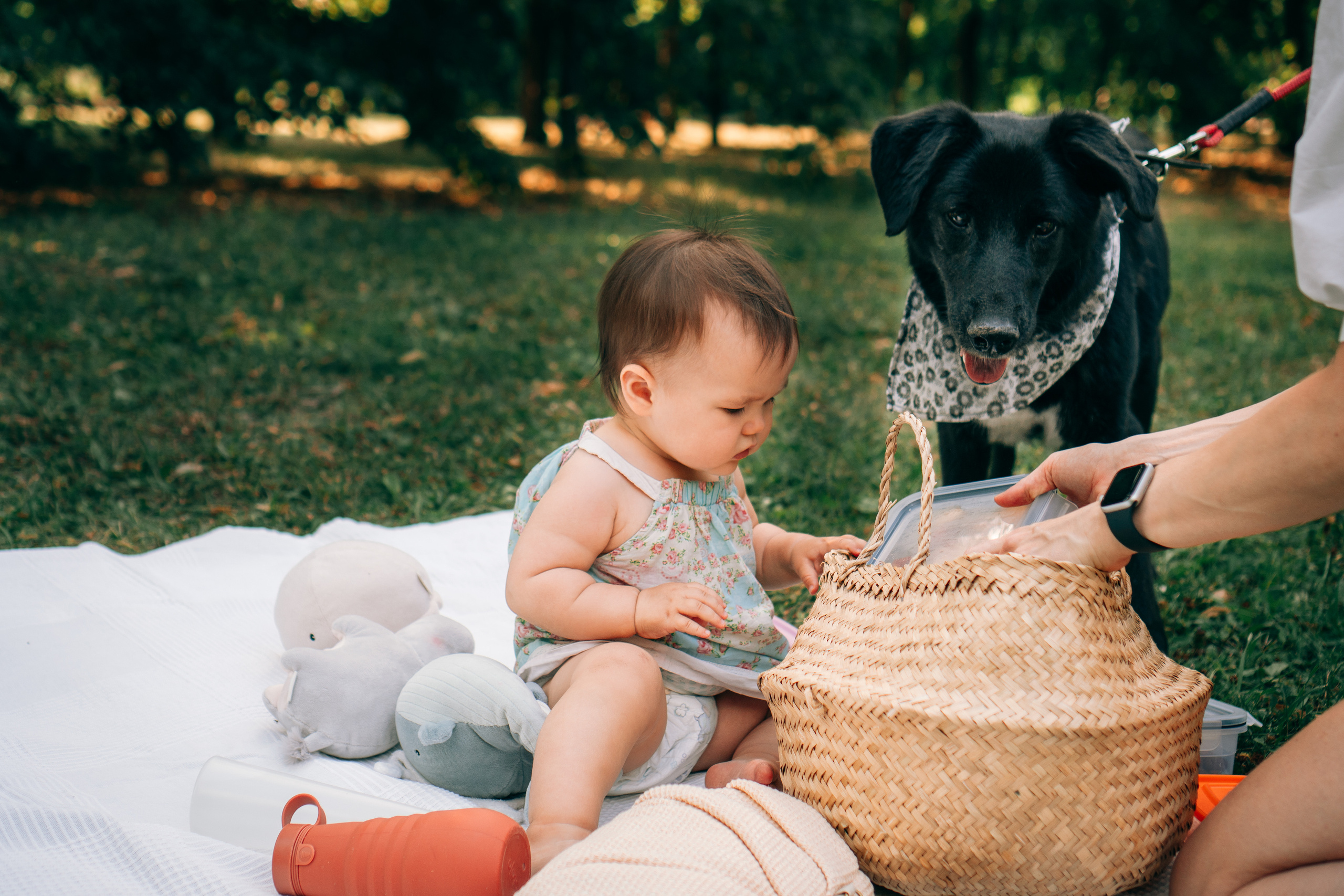Семейная фотосессия на природе в Москве. Семейный фотограф в Москве Ирина Жур