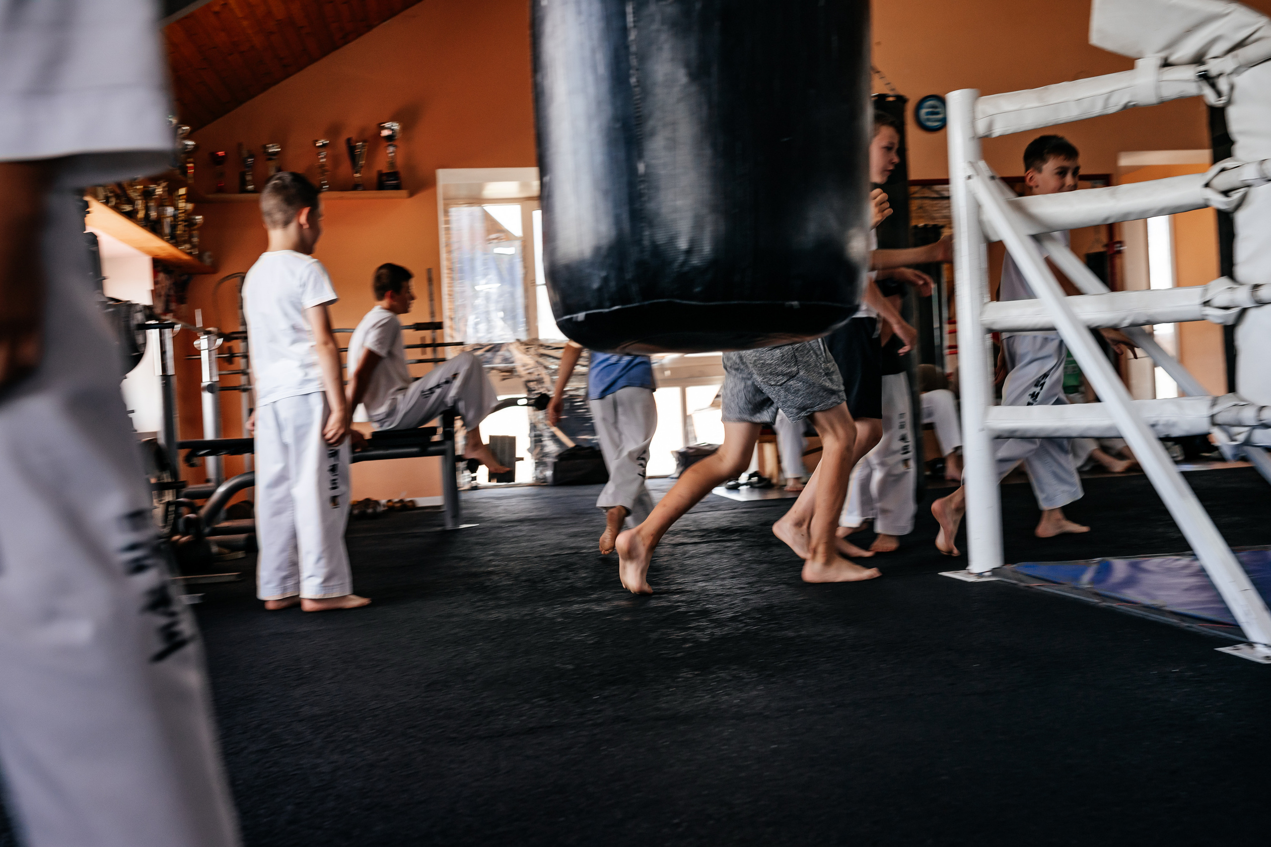 Съемка спортивных мероприятий. Taekwondo/2023. Семейный фотограф в Москве Ирина Жур