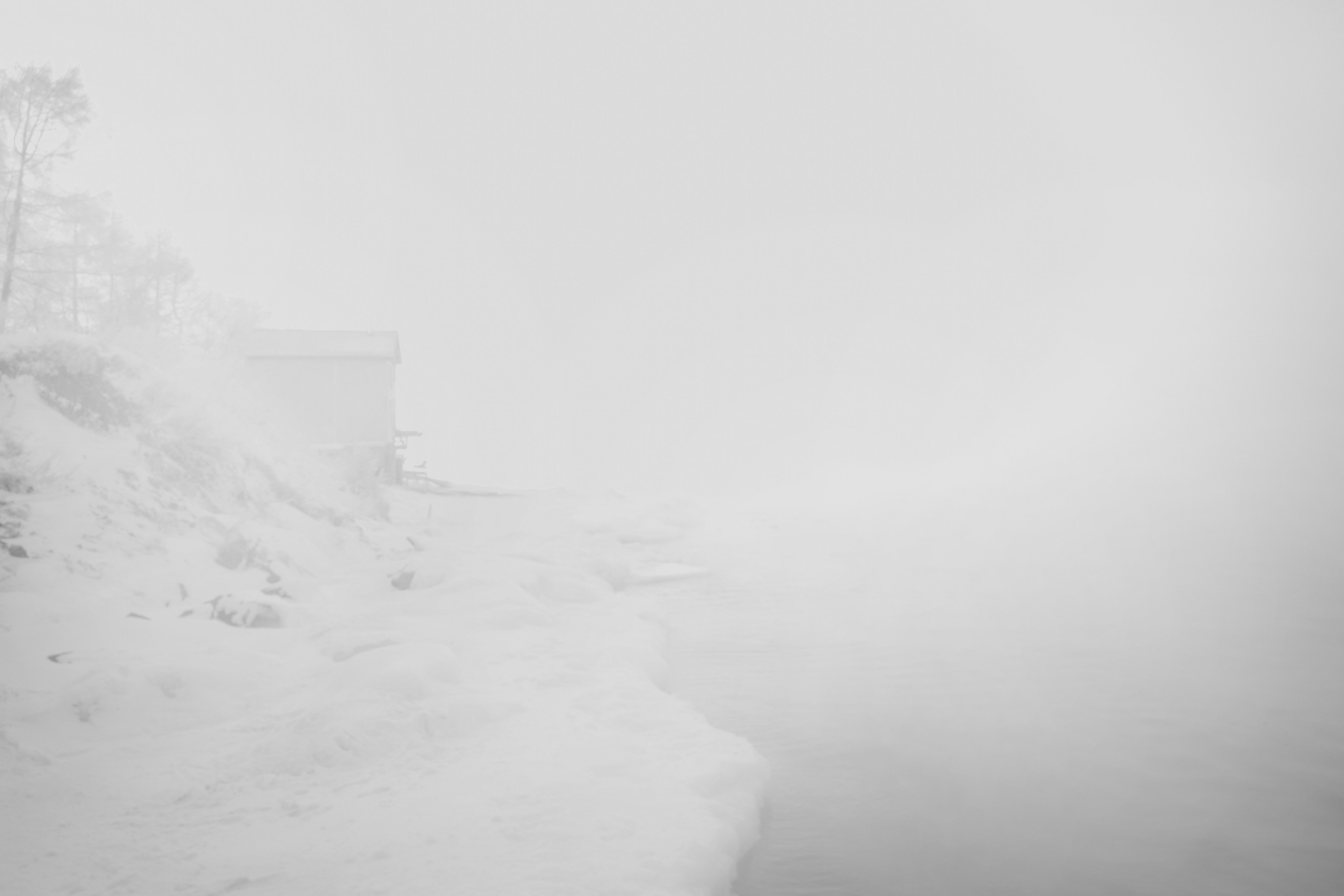 Безмолвие пустоши. Междисциплинарный художник Екатерина Старовойтова