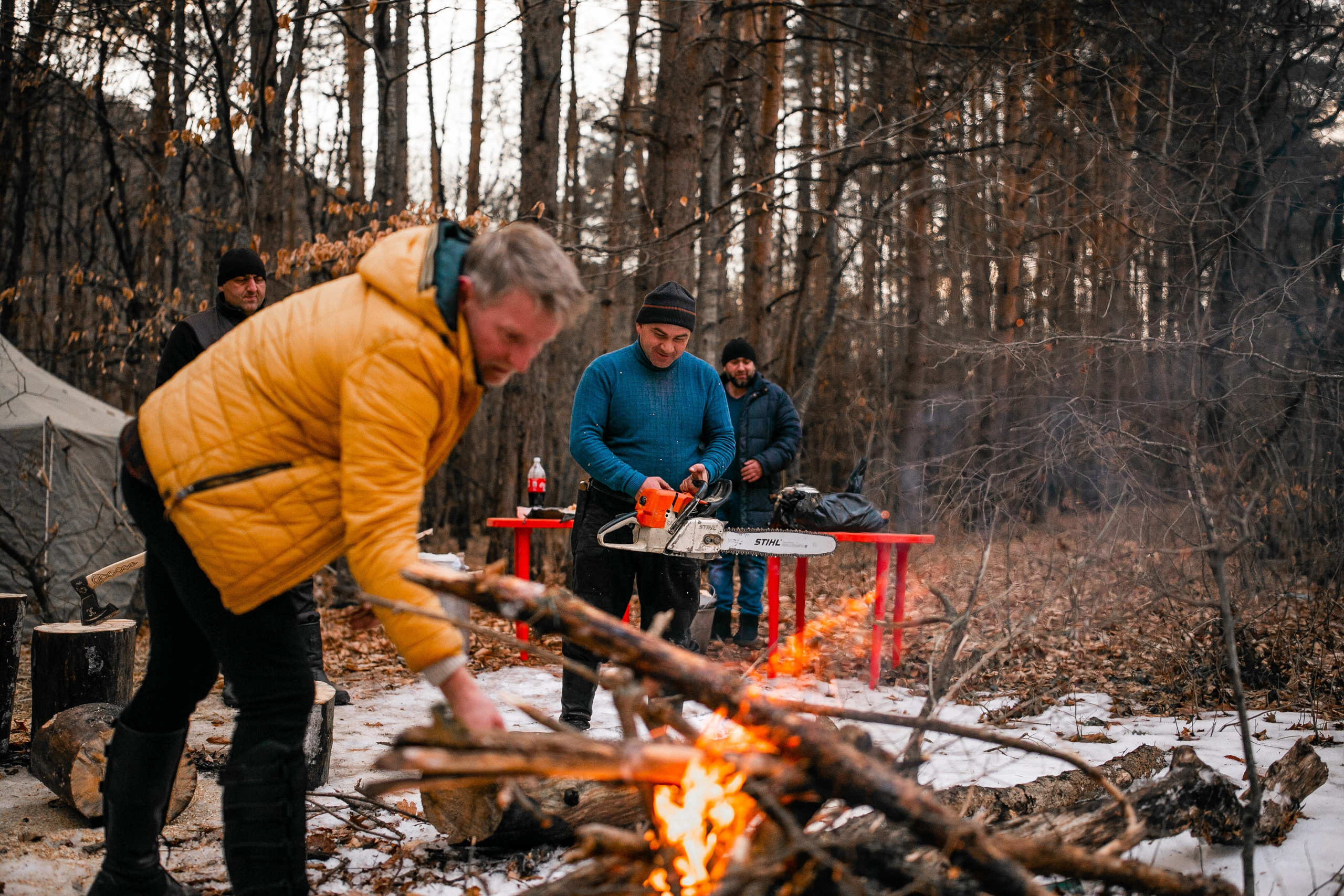Фототуры в Карачаево-Черкессии 2019-2020. Фотограф-анималист Ксендзова Кристина