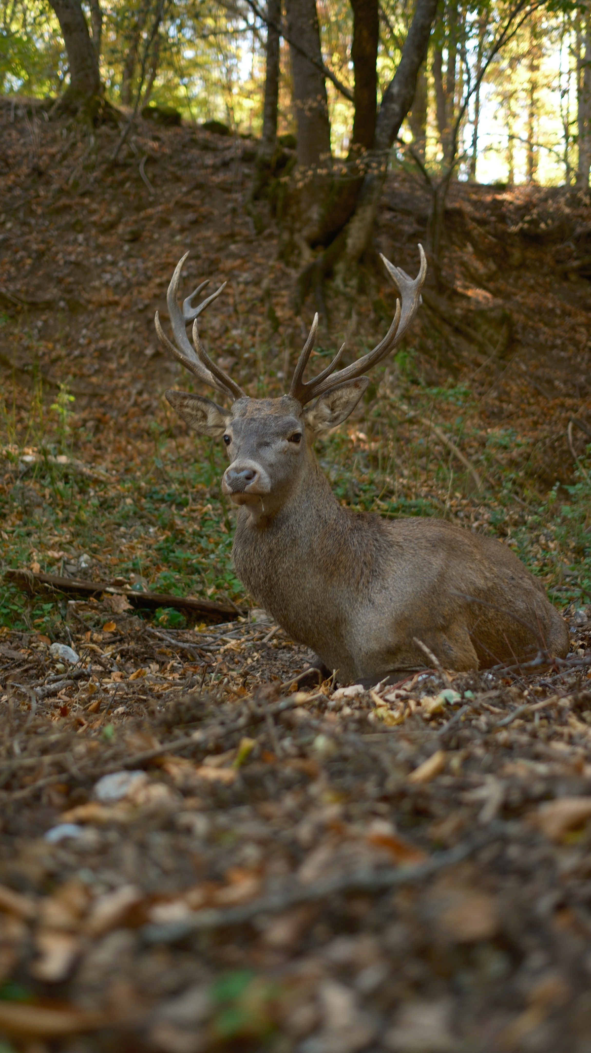 Хочу в Национальный Парк «Крымский». Гид и фотограф в Крыму Сергей Соколов