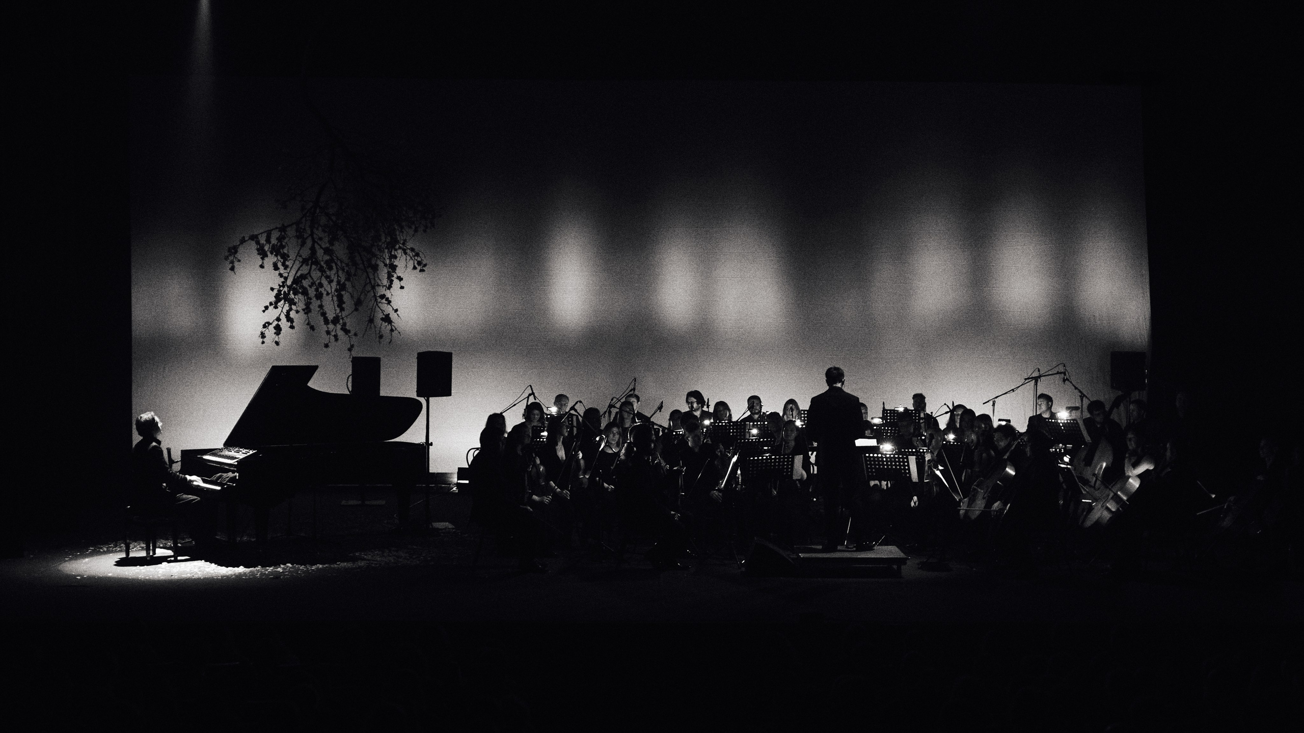 Никола Мельников / 2024. OOPS