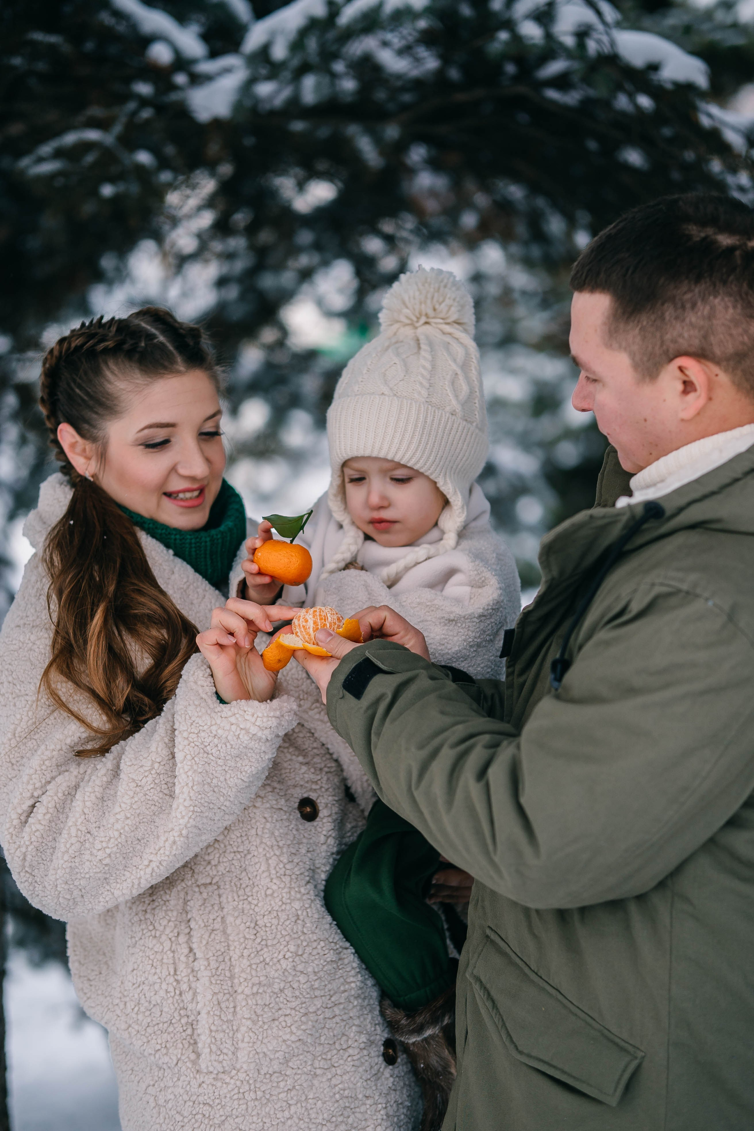 Зимняя сказка в Сосновом лесу. Фотограф Сергей Логинов
