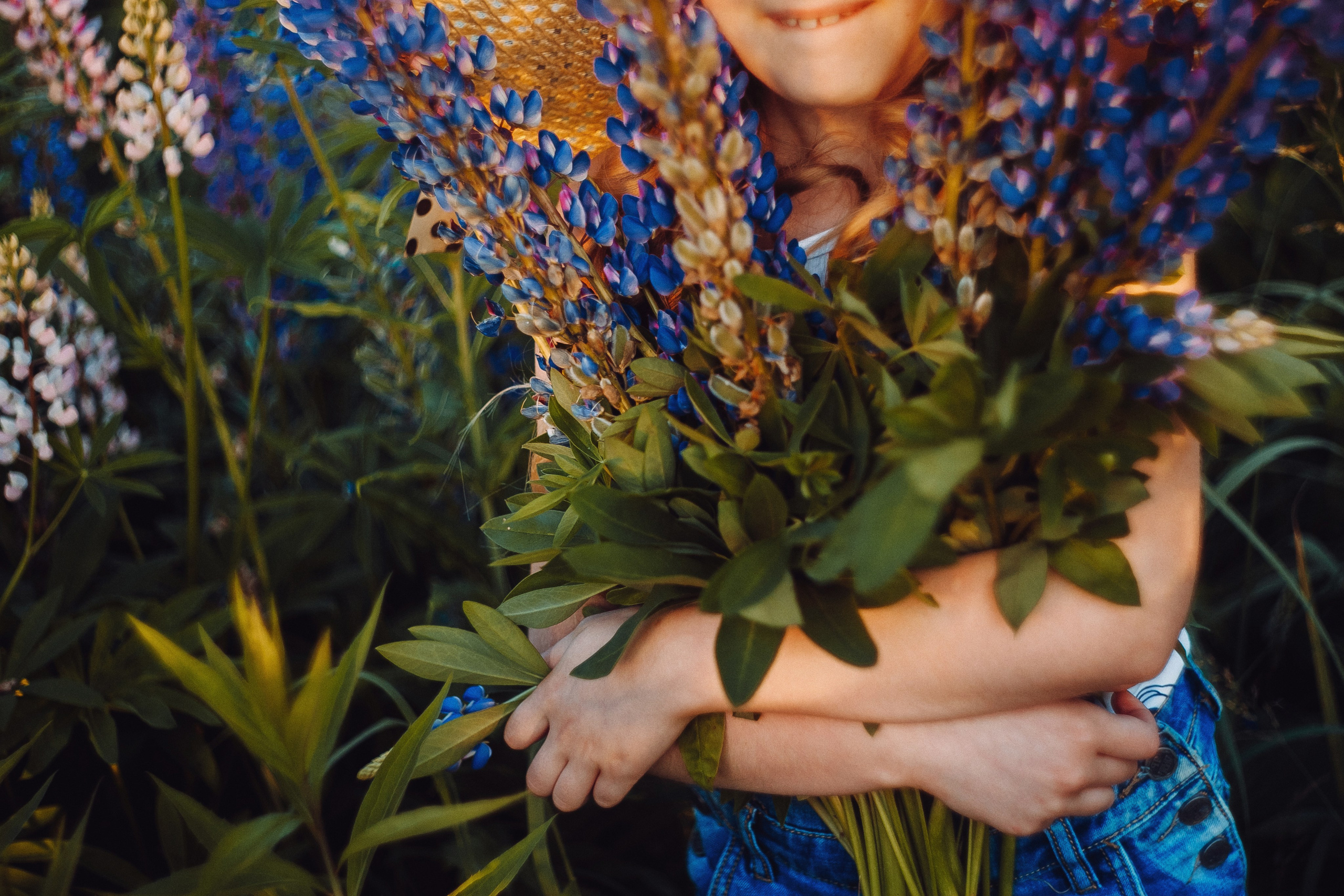 Солнечная Алена в Люпинах. Фотограф Сергей Логинов