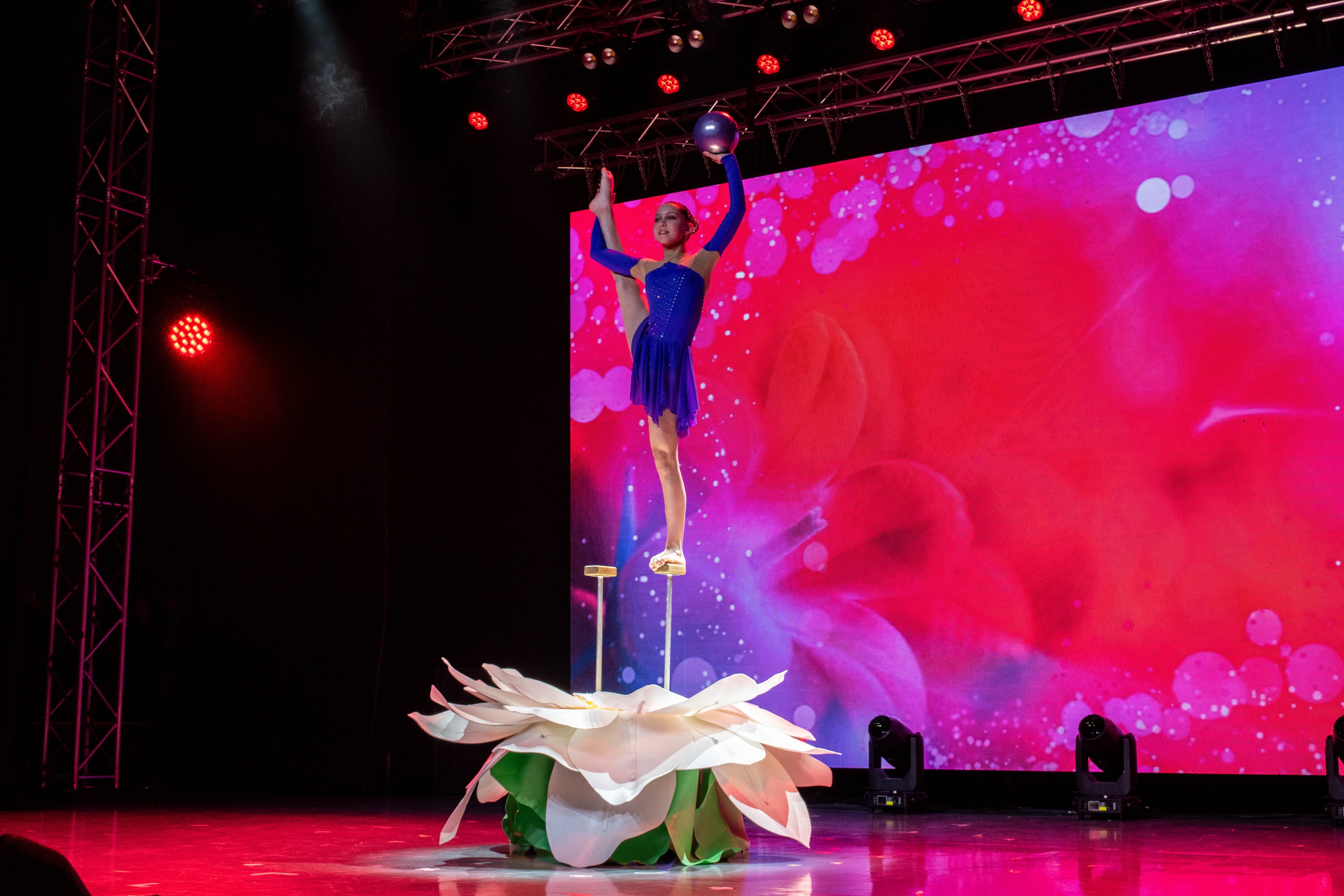 «ВЫСОТА» 2025. Репортажный фотограф во Владивостоке Анастасия Кострова