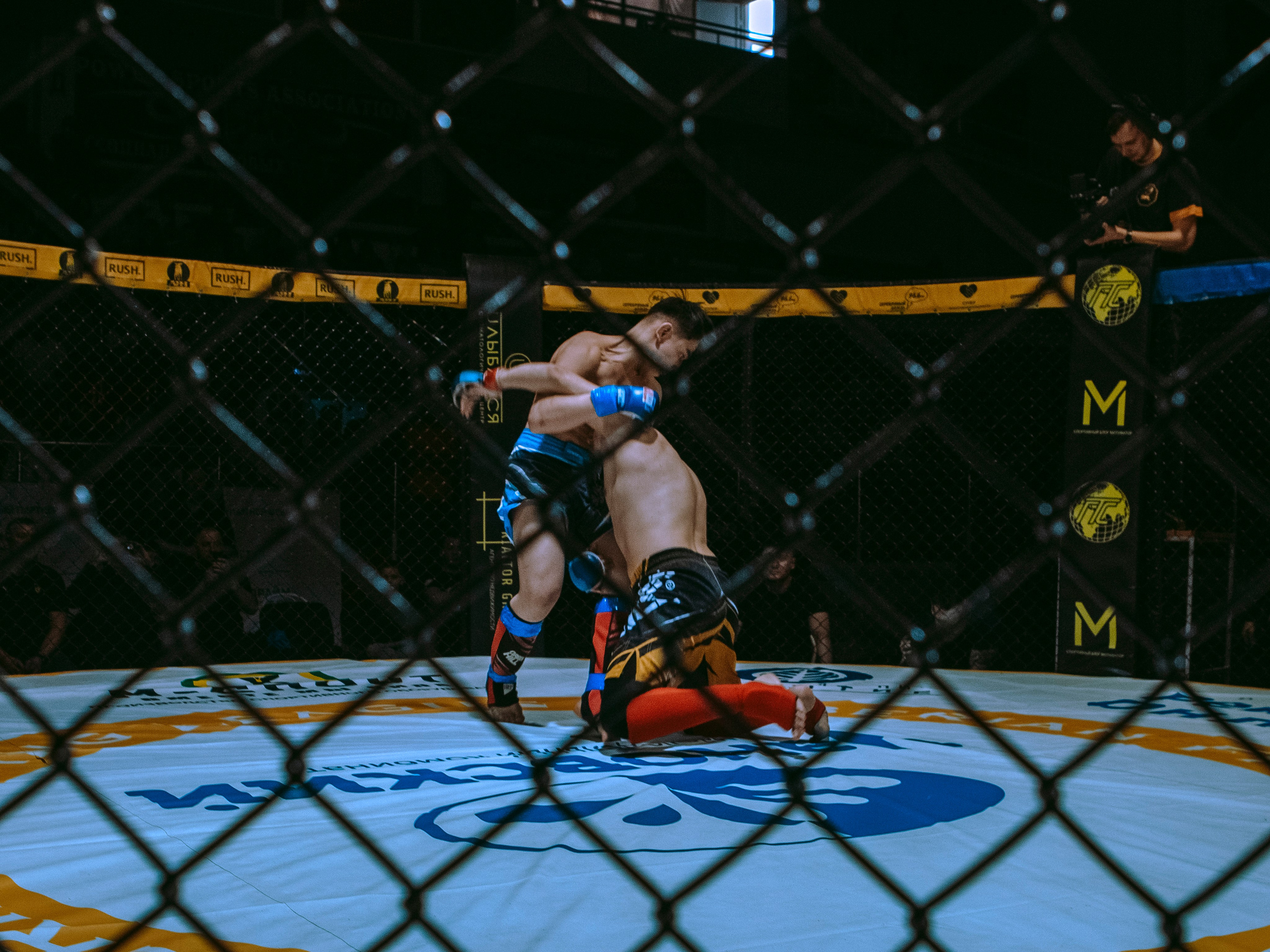 SFL 17 | Siberian Fighting League. Портретный фотограф в Москве Дарья Цезария