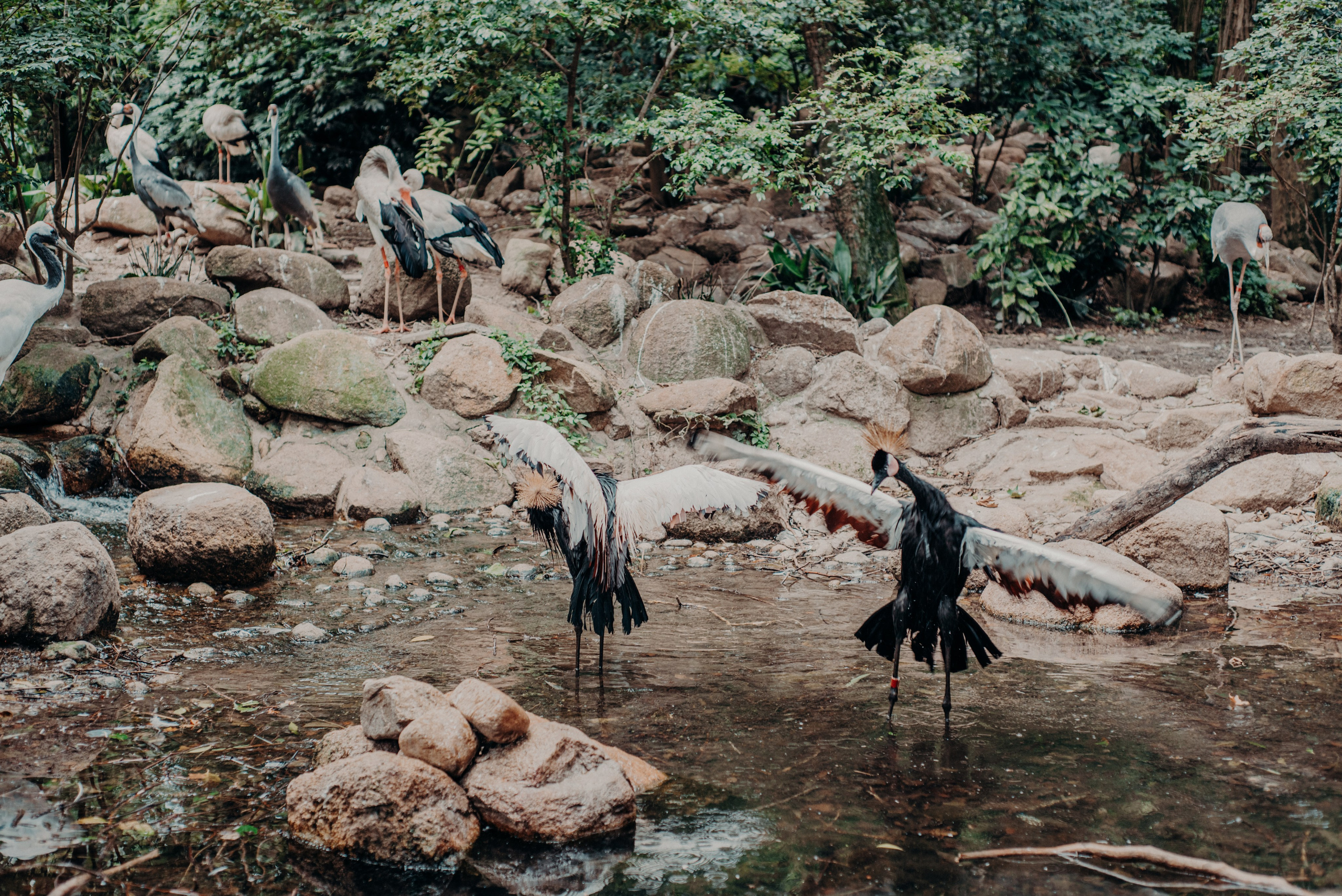 Рекламный фотограф из Гуанчжоу: вдохновение в улицах Шанхая. Коммерческий и предметный фотограф в Гуанчжоу Коваленко Александр