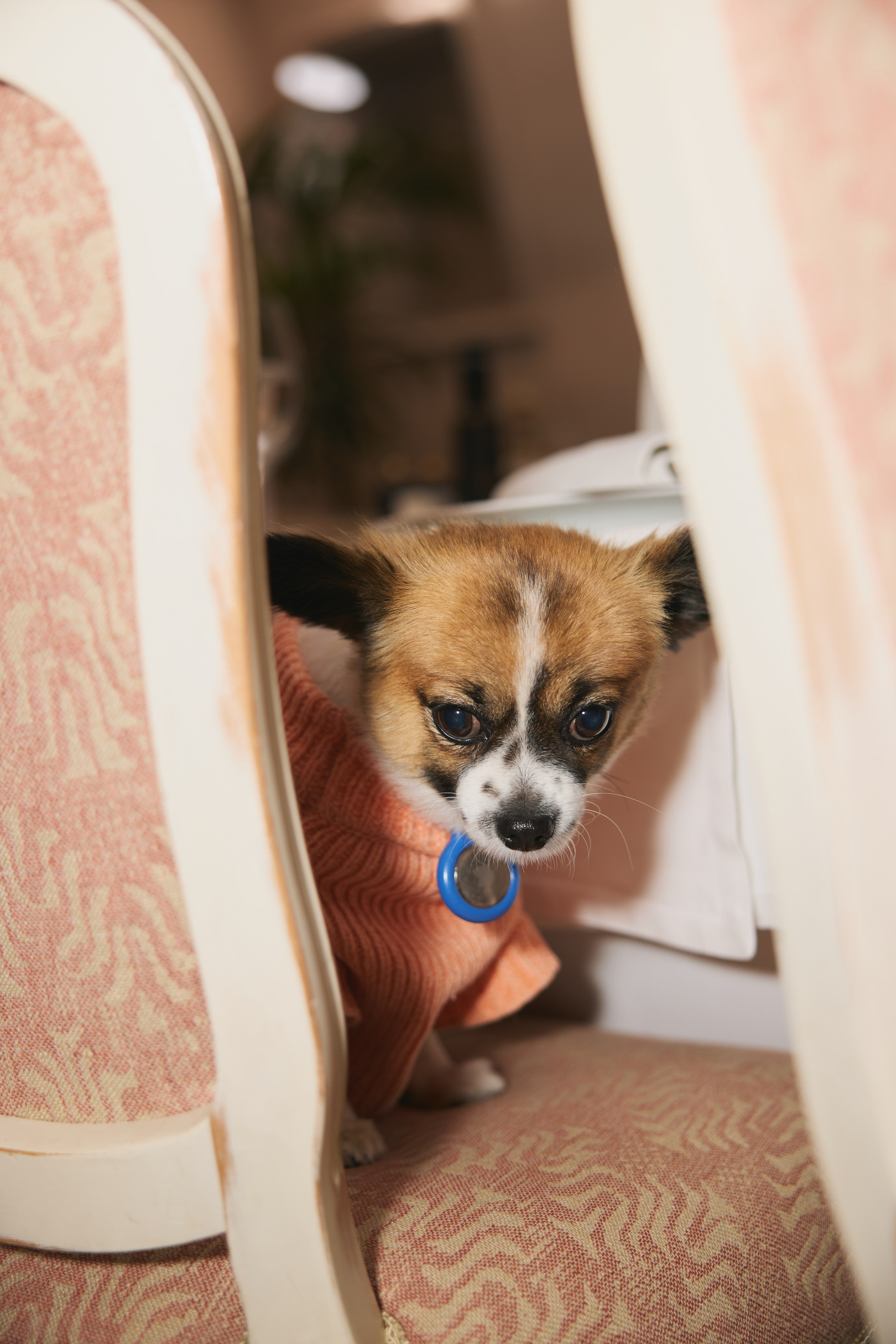 Пресс-бранч в честь юбилея бренда FIORE фото. Профессиональный фотограф Татьяна Евглевская