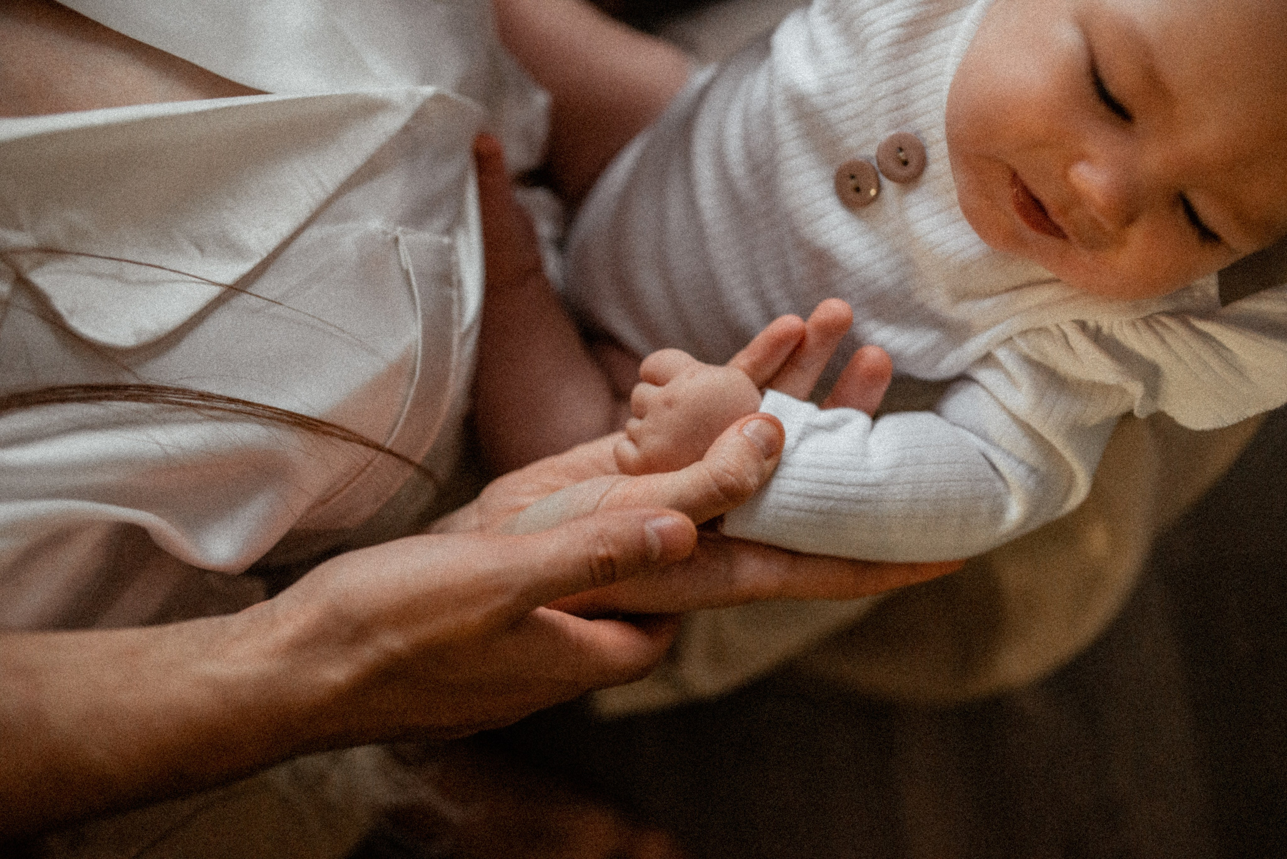 Домашняя 26.11.23. Галина Чекунова Фотограф в Ростове-на-Дону
