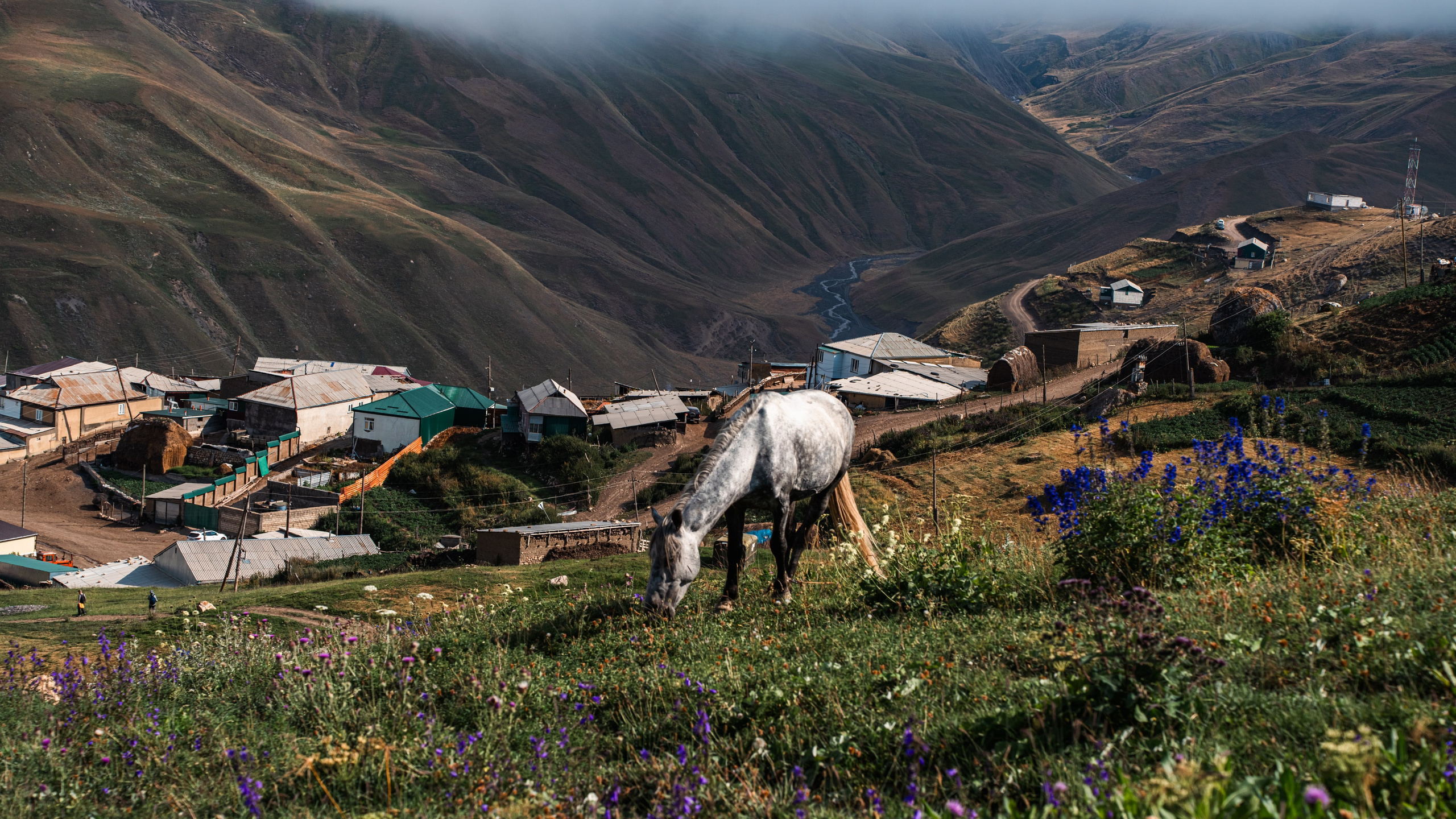 Дагестан. Фотограф в Москве. Шахабудин