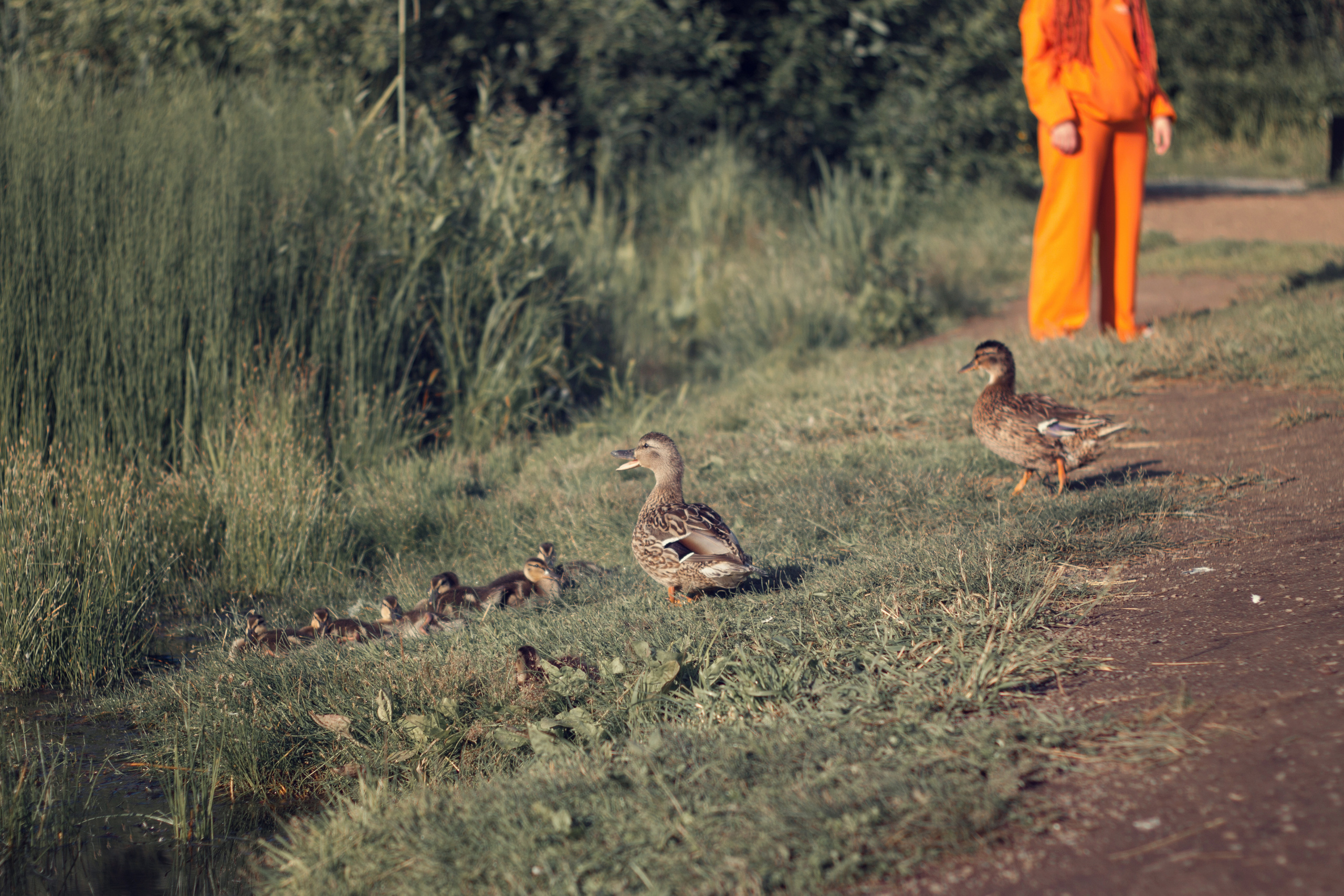 Юлия 2022. Фотограф жизни в Ижевске Виктория Аксючиц