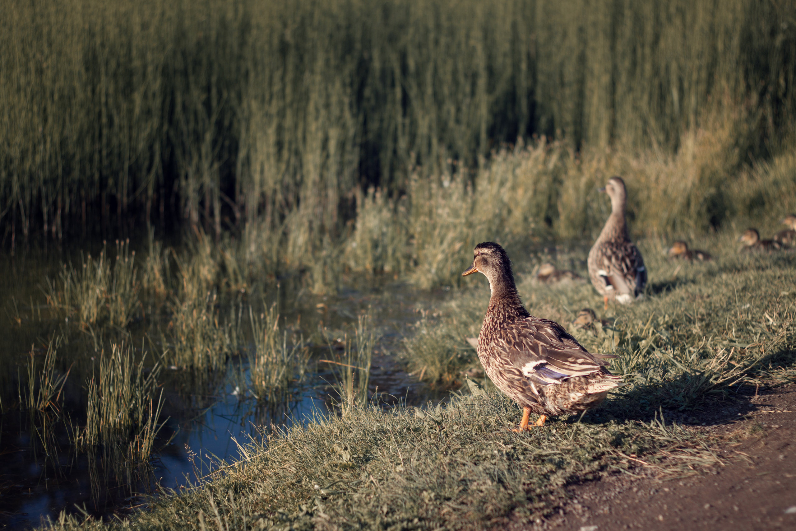 Юлия 2022. Фотограф жизни в Ижевске Виктория Аксючиц