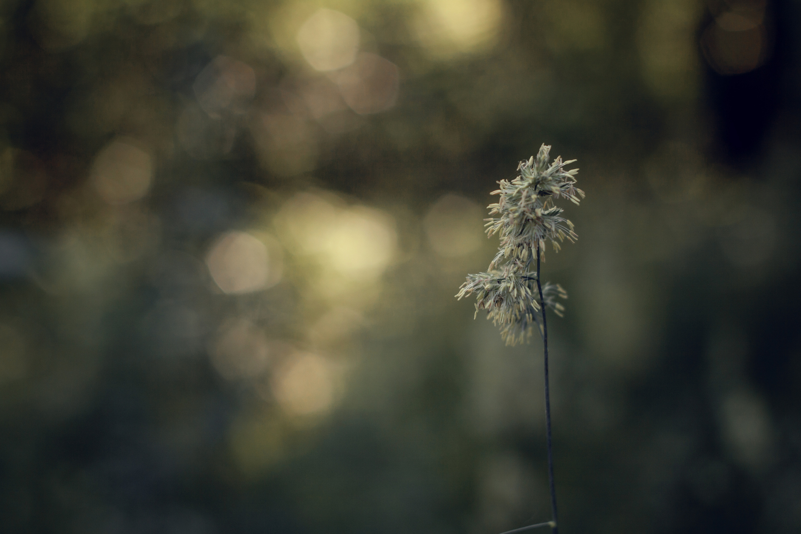 Юлия 2022. Фотограф жизни в Ижевске Виктория Аксючиц