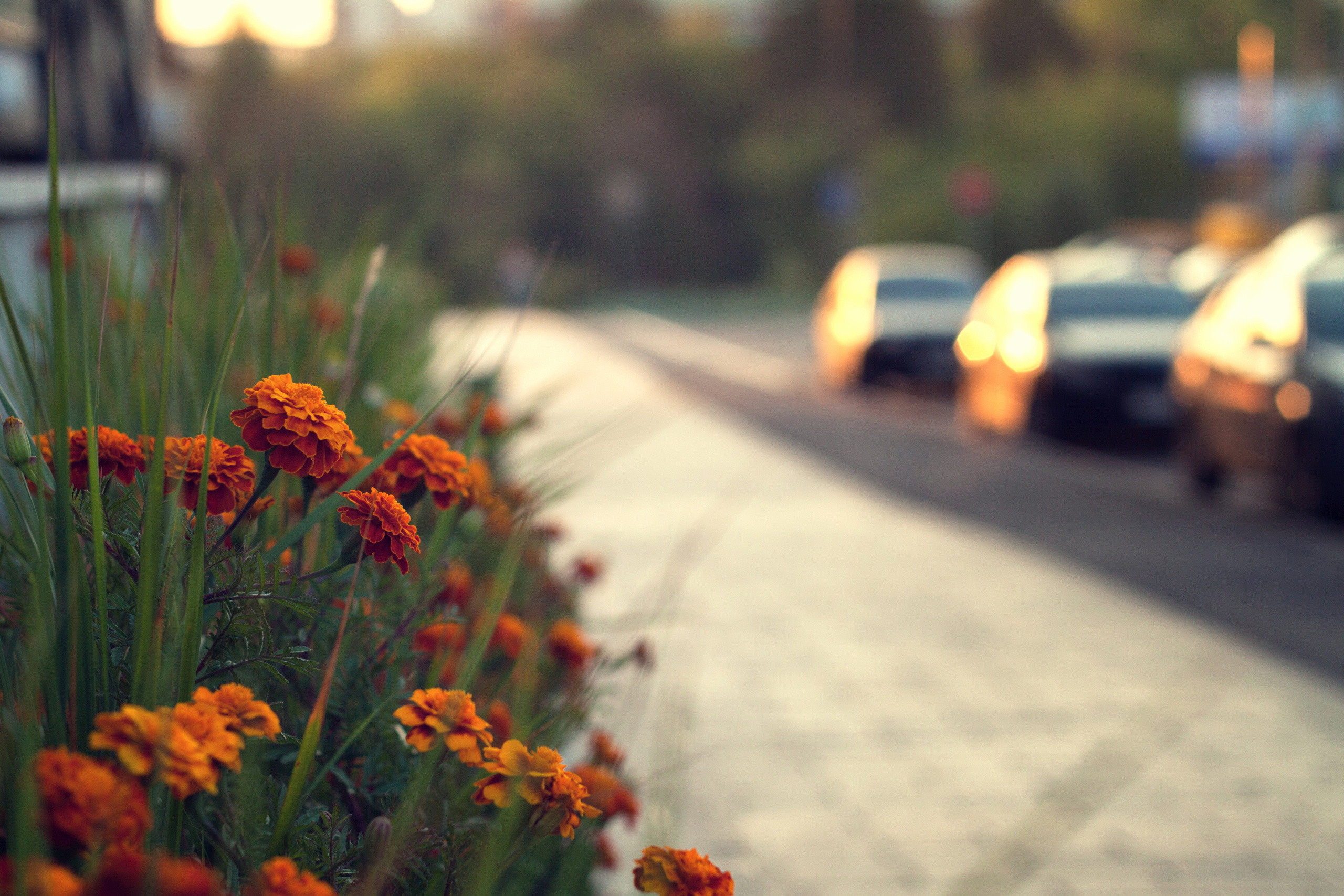 Портфолио. Фотограф жизни в Ижевске Виктория Аксючиц