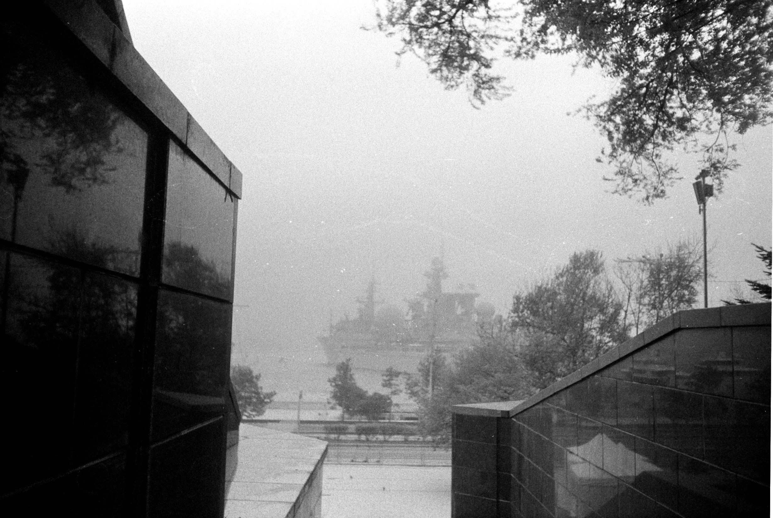 Плёнка весна-лето 2025. Ирина Чернова — портретный фотограф и маркетолог из Владивостока