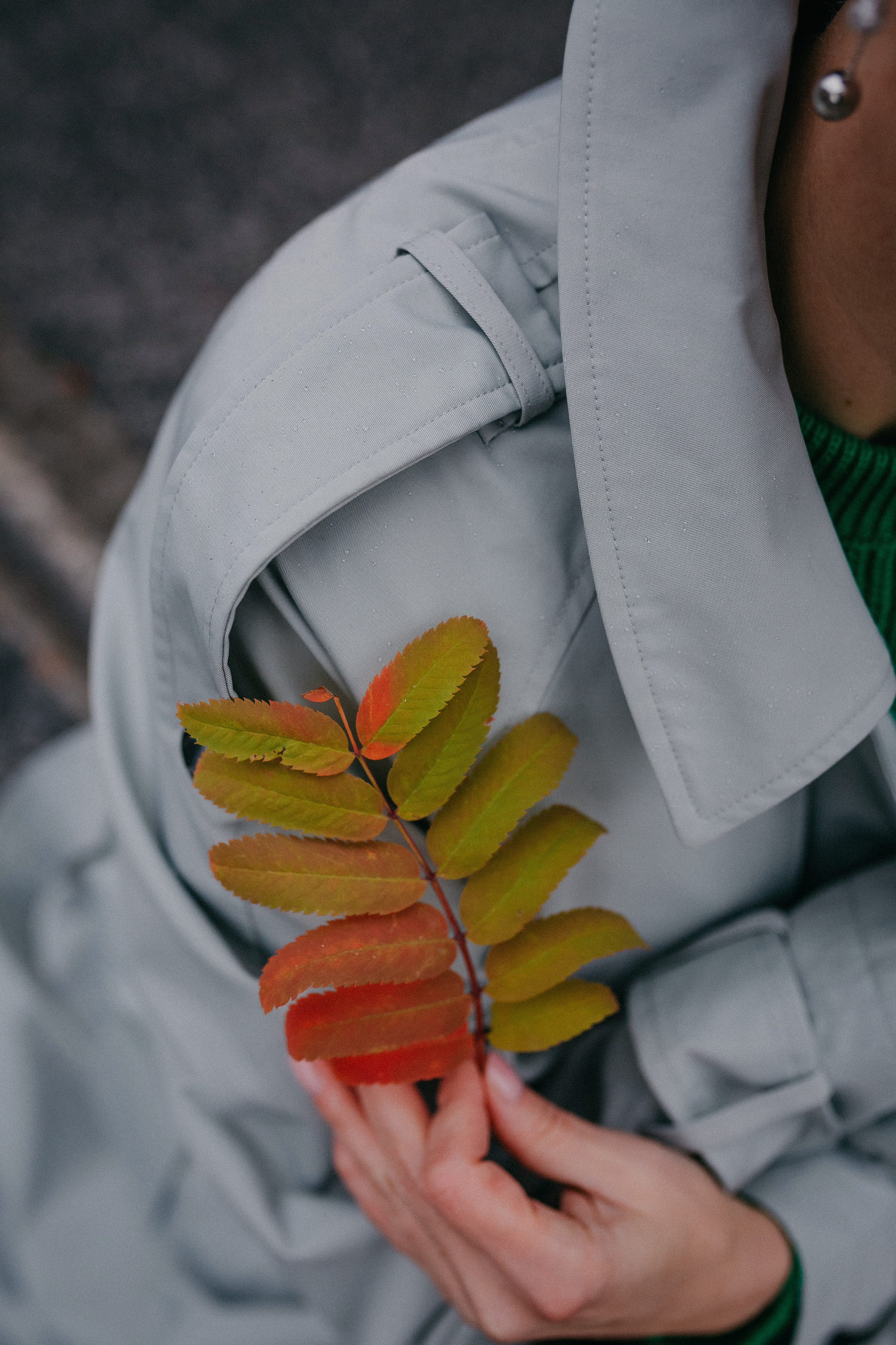 Юля. Осень. Семейный фотограф в Сургуте
