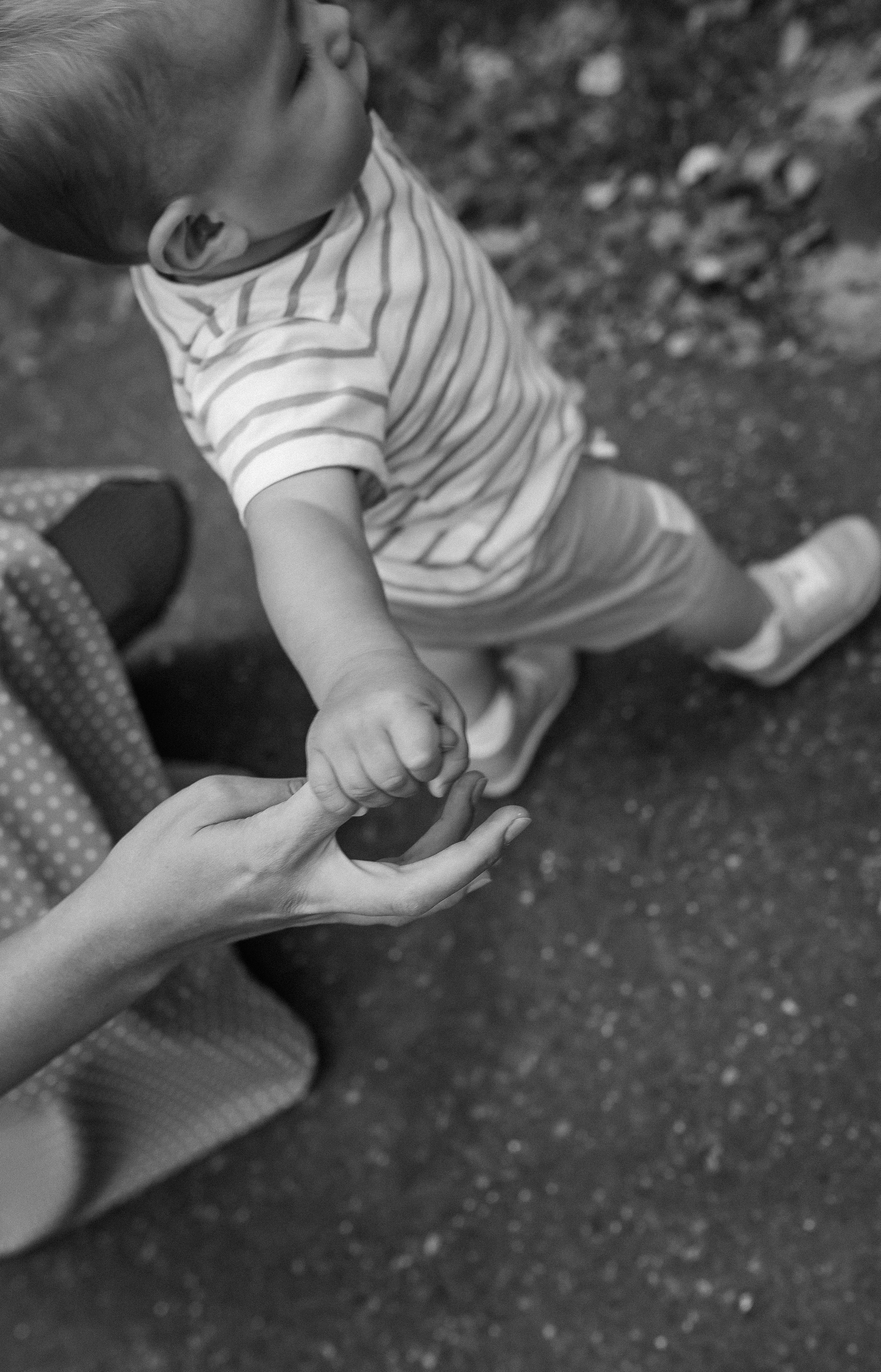 Костик. Семейный фотограф в Сургуте