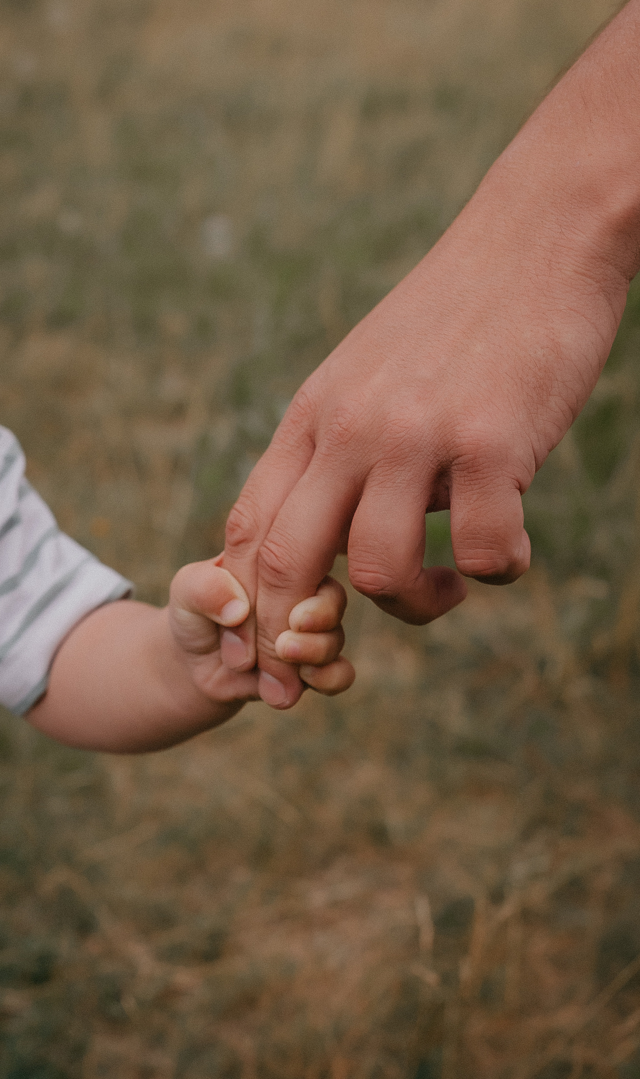 Костик. Семейный фотограф в Сургуте