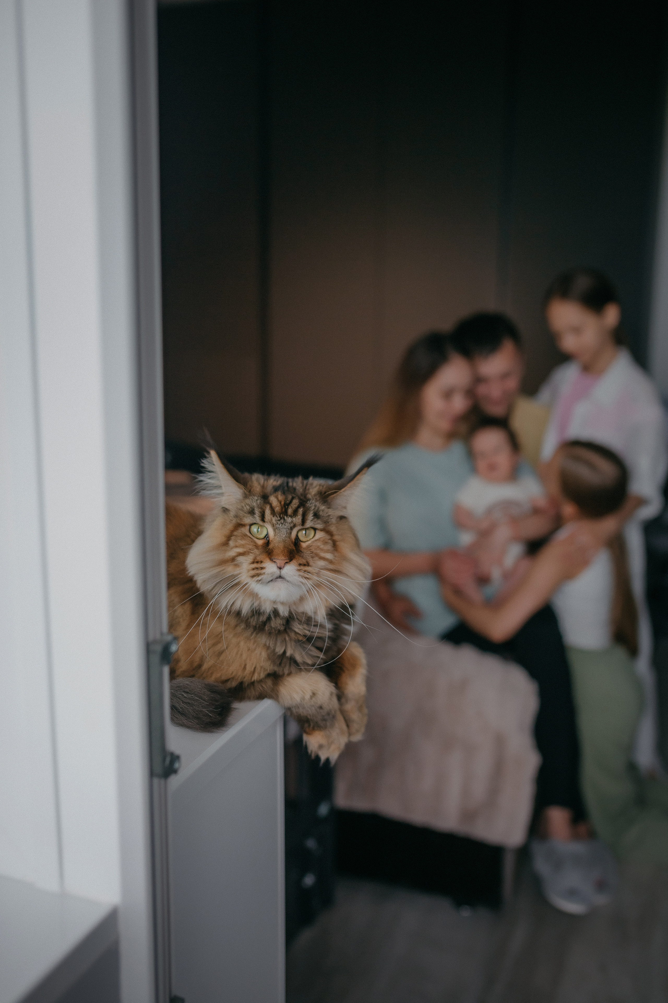 Александр. Семейный фотограф в Сургуте