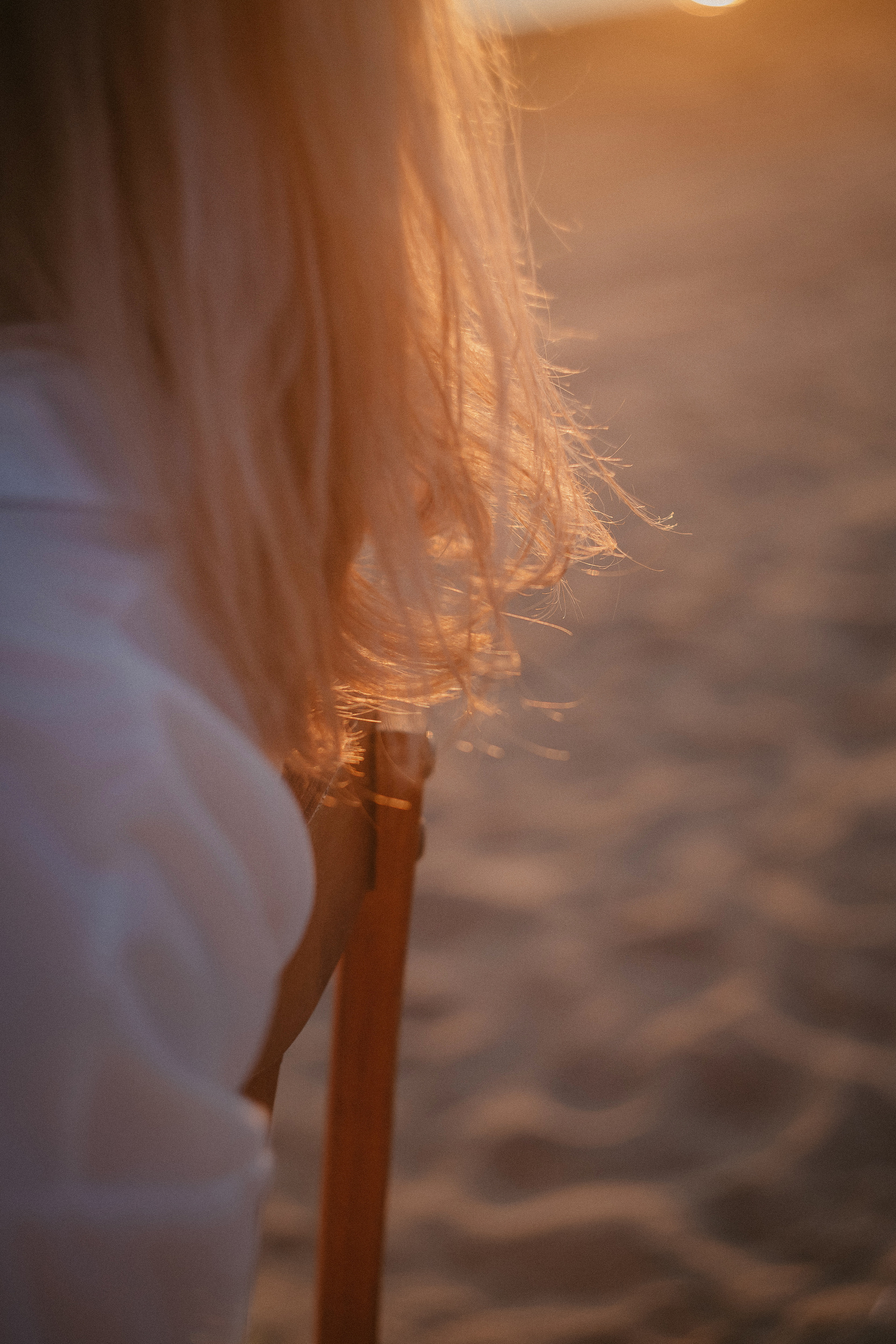 Закат. Семейный фотограф в Сургуте