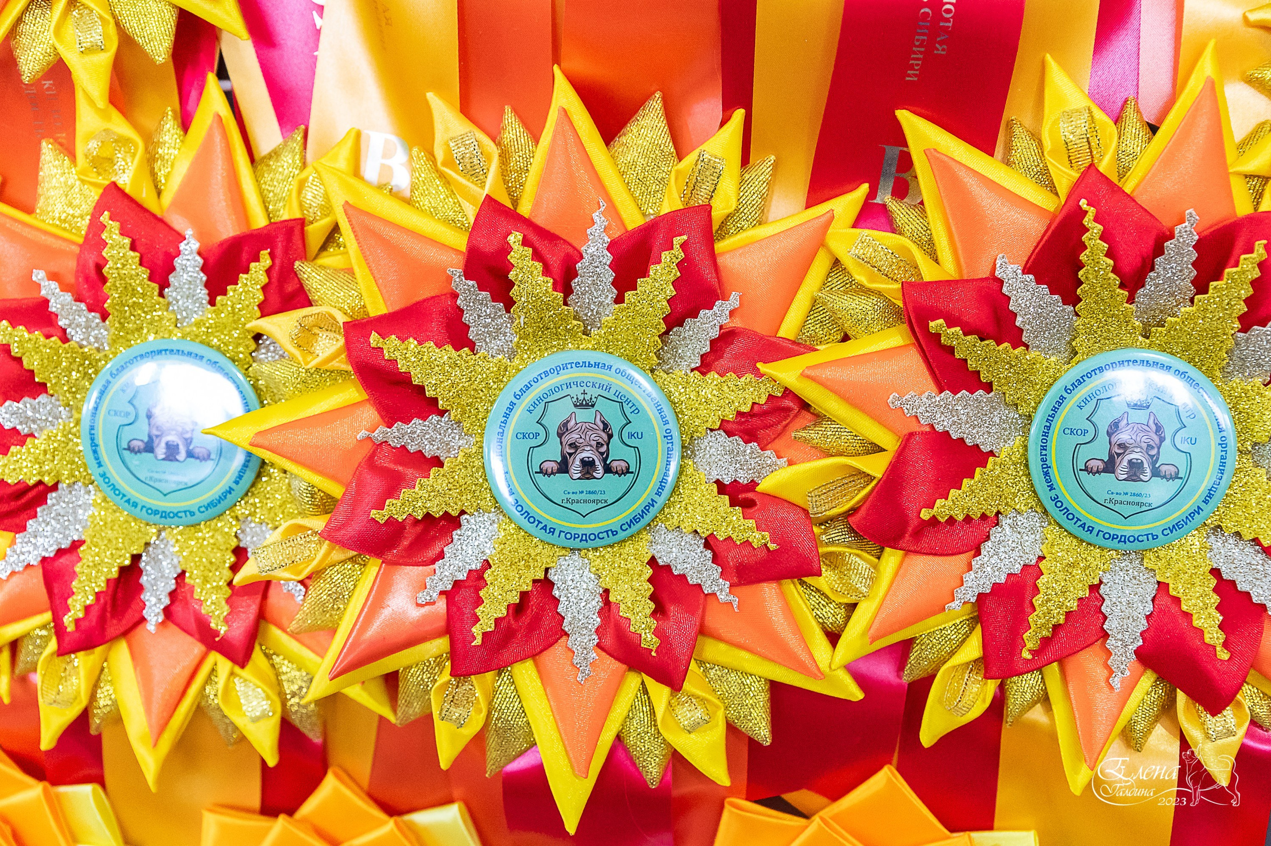 Отзывы. Фотограф анималист Елена Галдина г. Красноярск