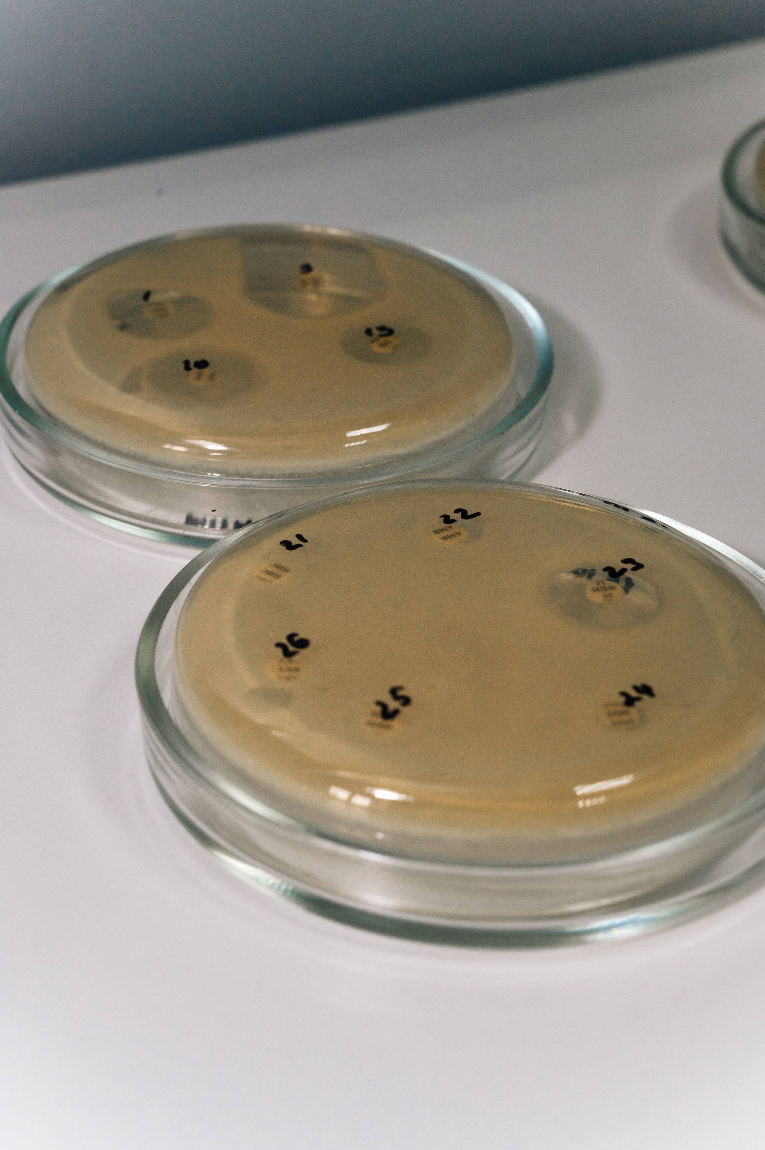 Международная конференция РАН