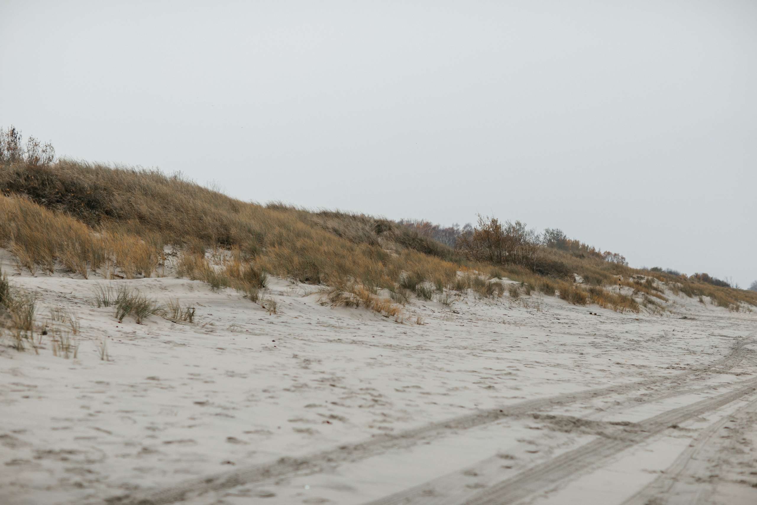 Балтийск/Калининград. Свадебный и семейный фотограф/видеограф в Краснодаре Наталья Осинская