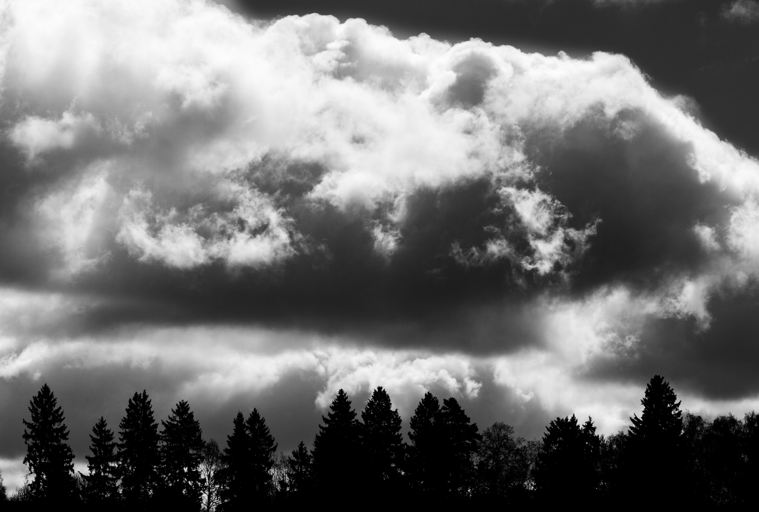 ПЕЙЗАЖ. Фотограф Николай Костюк