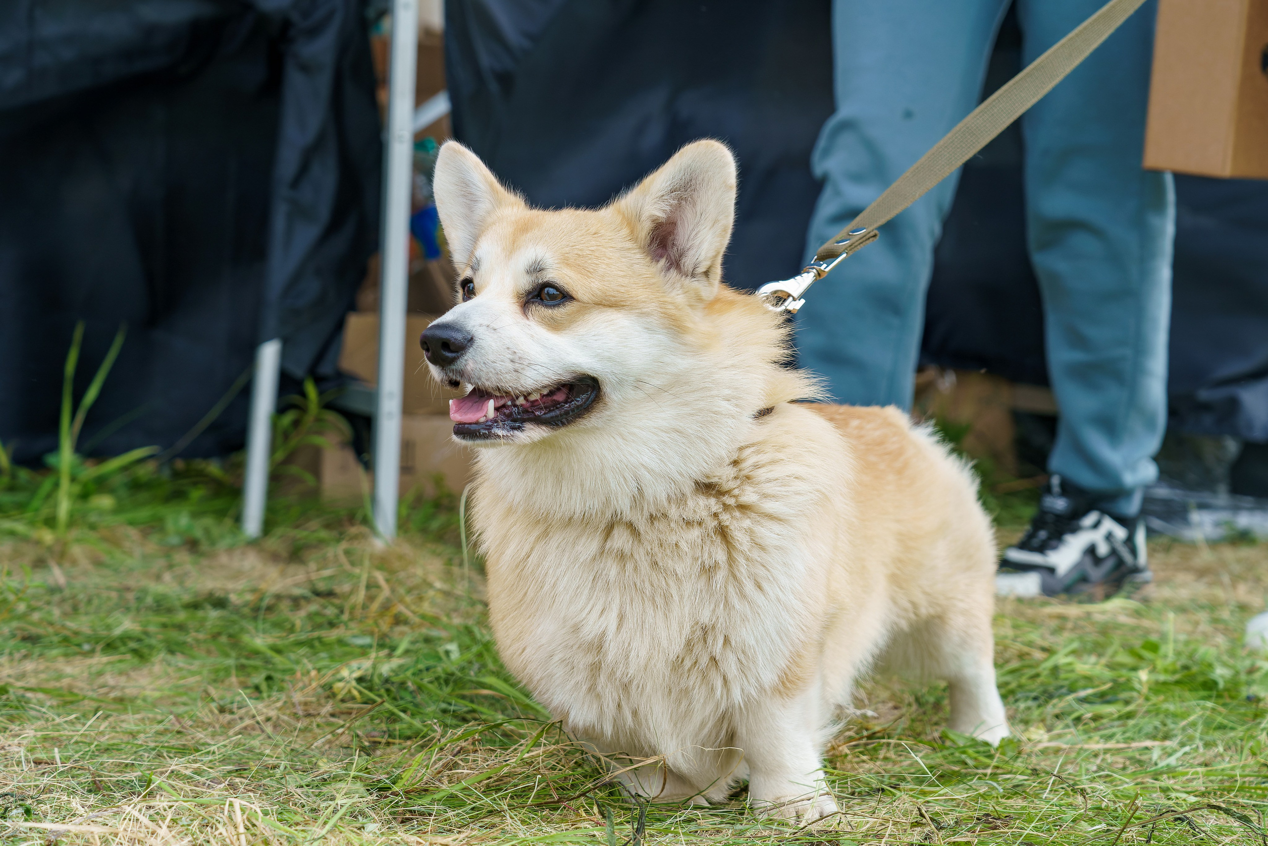 Фотосъёмка культурных массовых мероприятий, выставки, концерты, репортажная съёмка. «Студия DRONAVT`s» — видеосъёмка и фотография г. Москва
