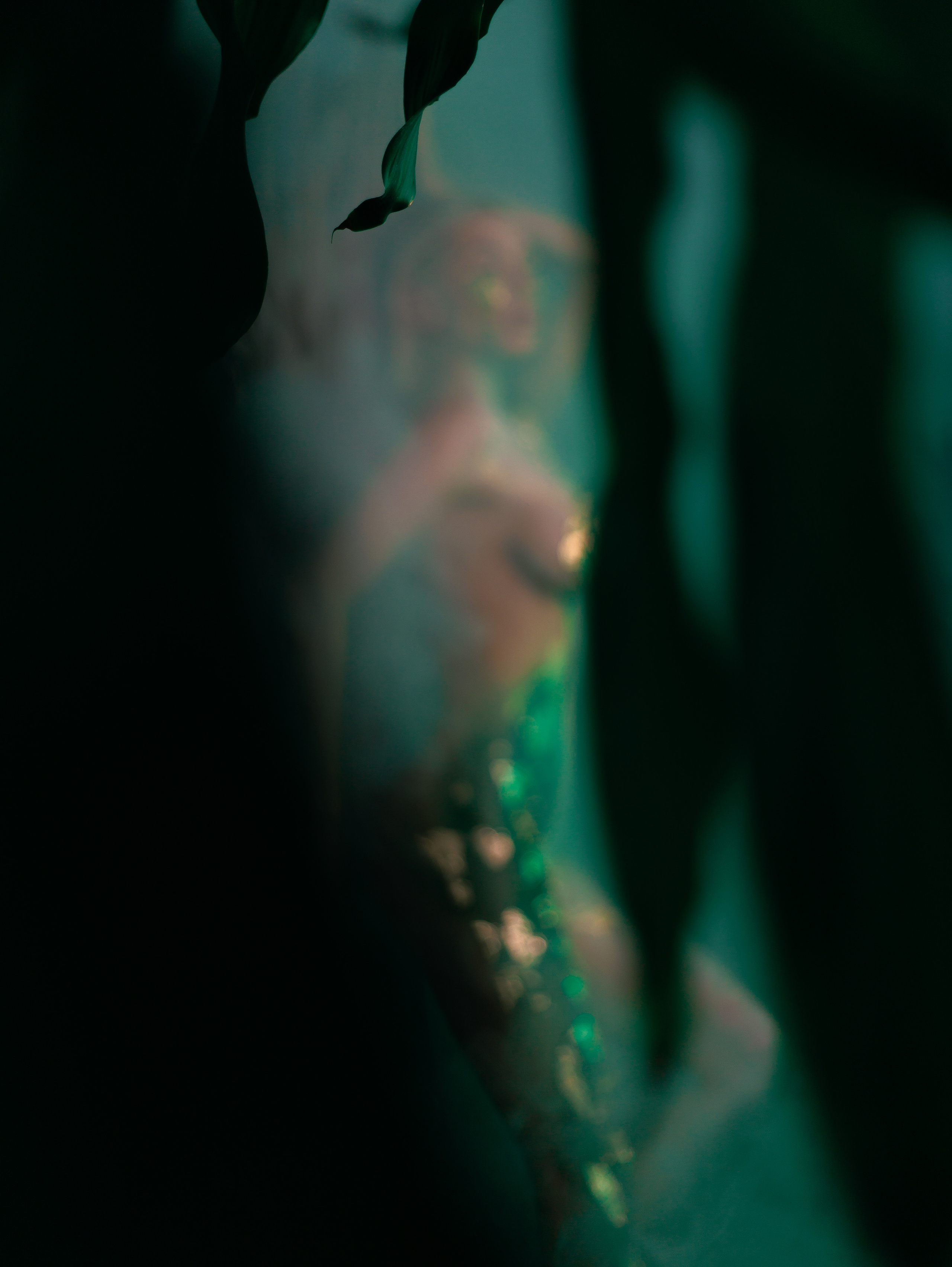 Творческие. Предметный и модельный фотограф Хасаншин Дамир