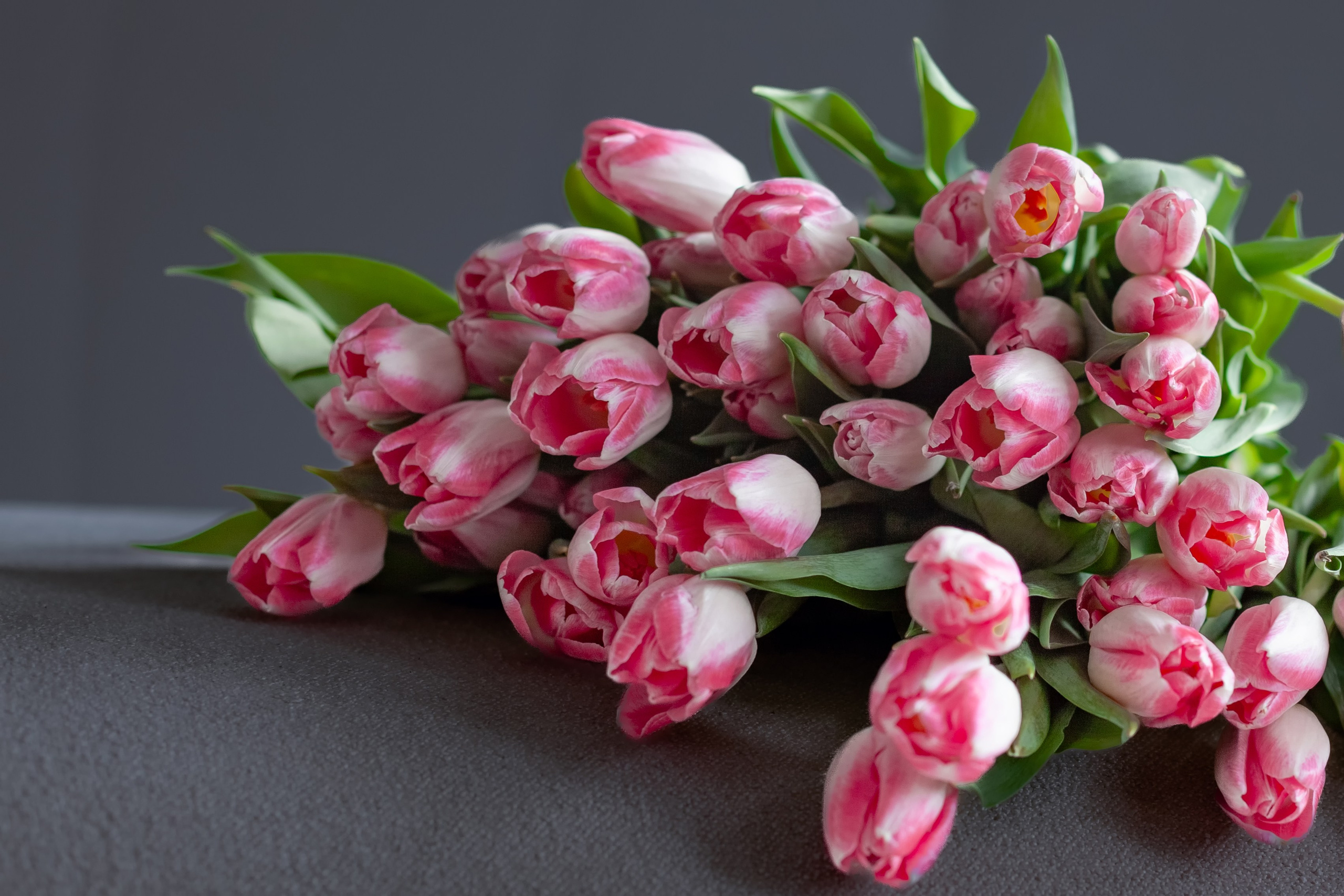 В ритме весны! Запрос — красиво, дерзко, стильно). Фотограф в Томске Евгения Гуляева