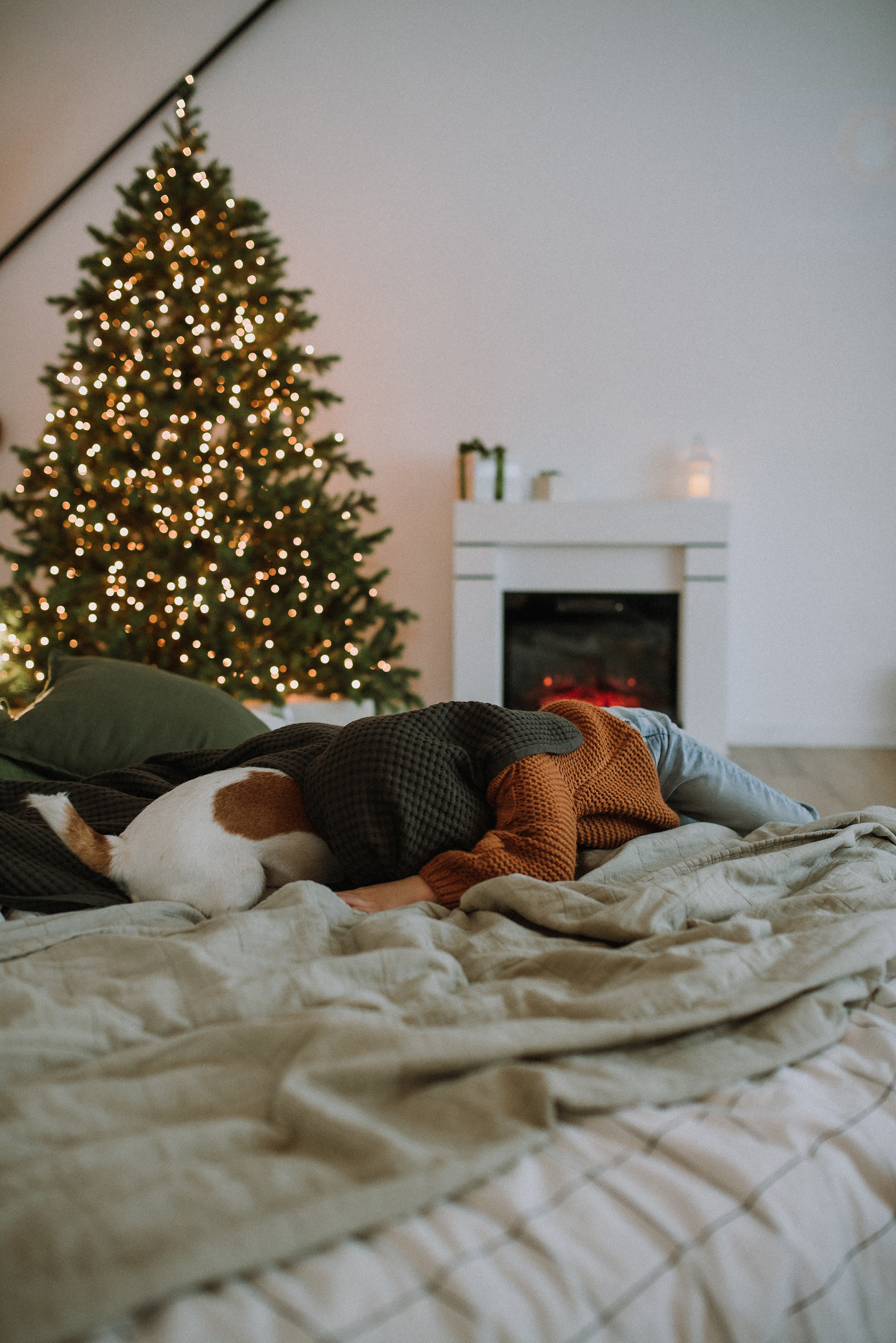 Алина, дочка София и собака. Фотограф в Санкт-Петребурге и в Великих Луках Волченкова Екатерина