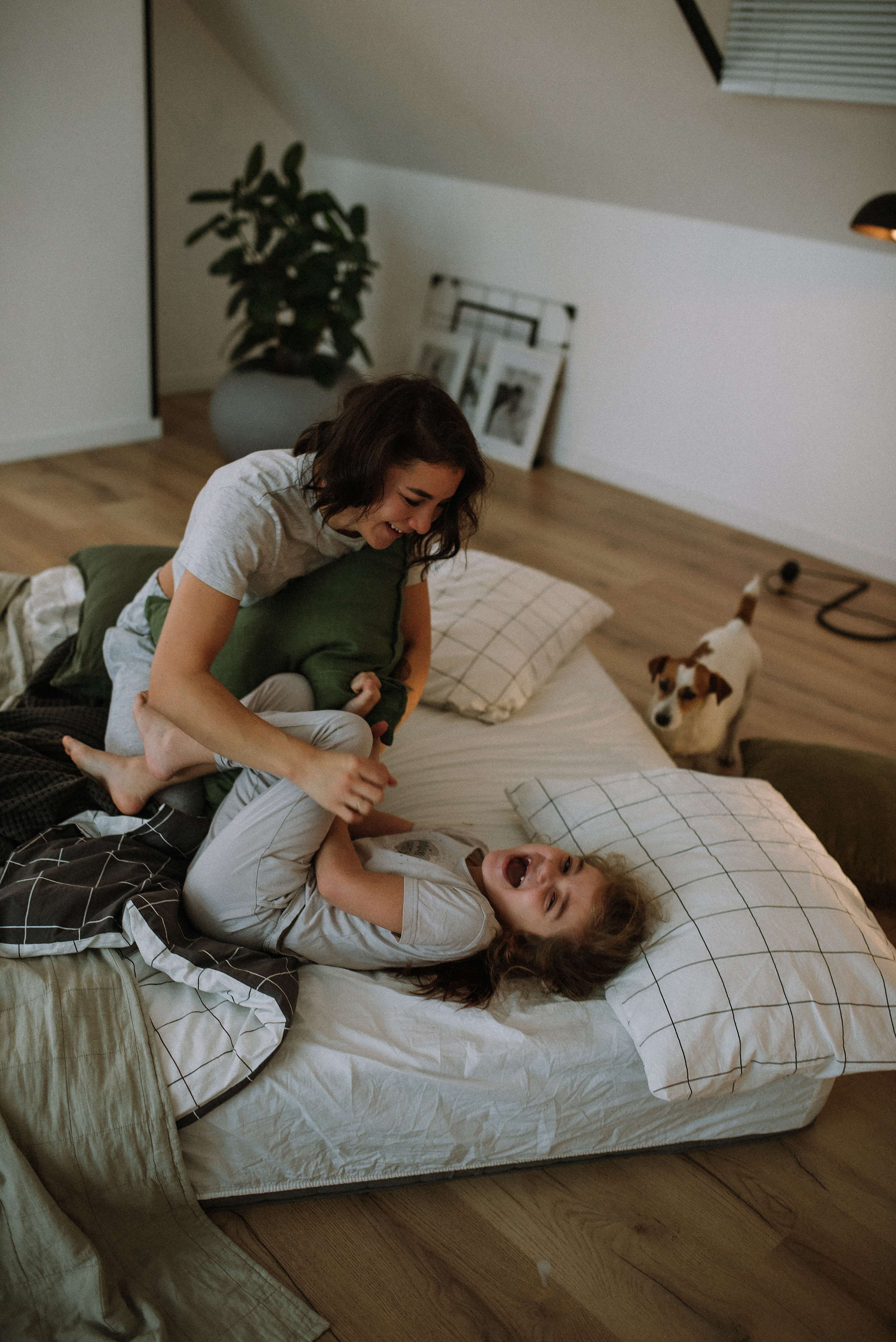 Алина, дочка София и собака. Фотограф в Санкт-Петребурге и в Великих Луках Волченкова Екатерина