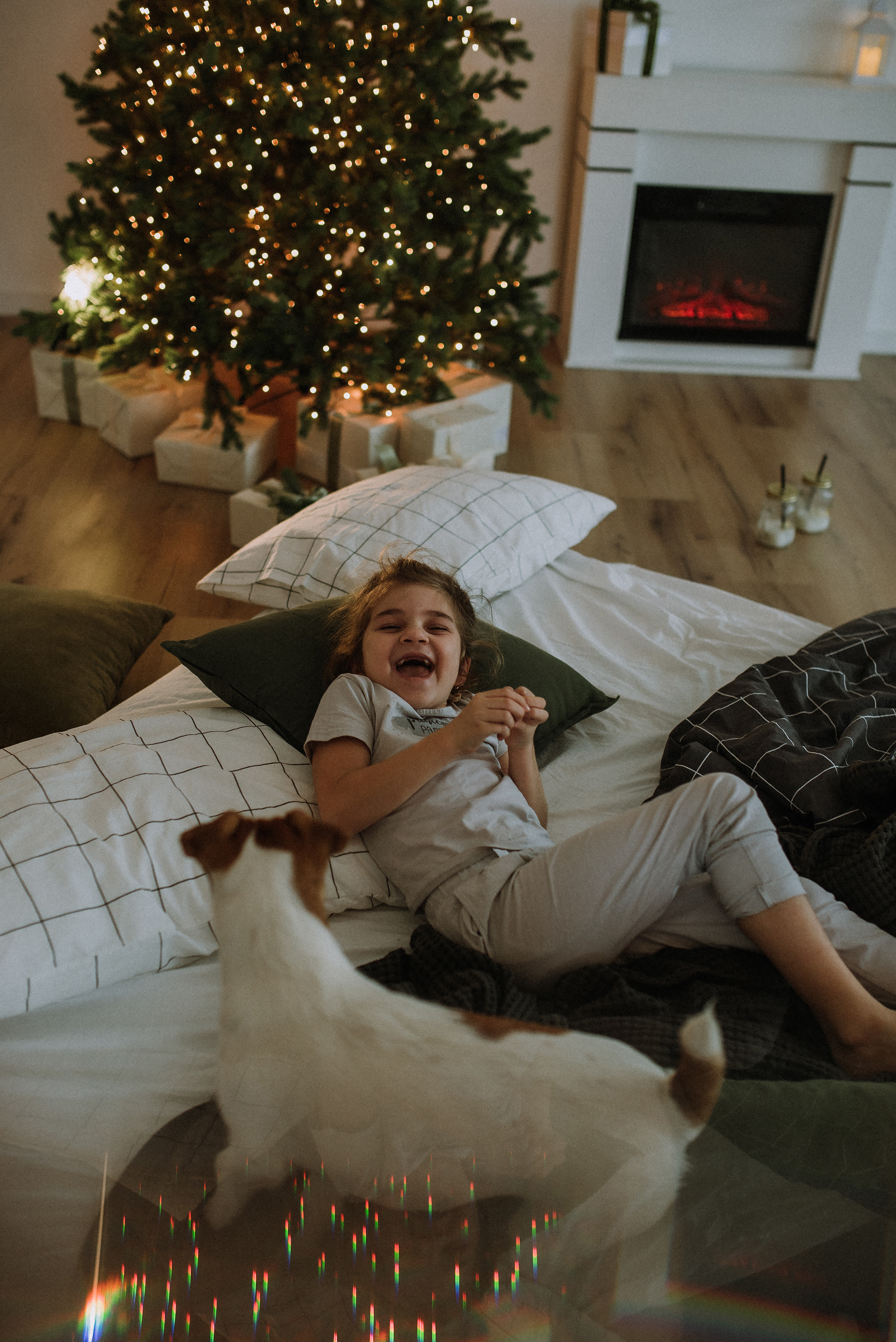 Алина, дочка София и собака. Фотограф в Санкт-Петребурге и в Великих Луках Волченкова Екатерина