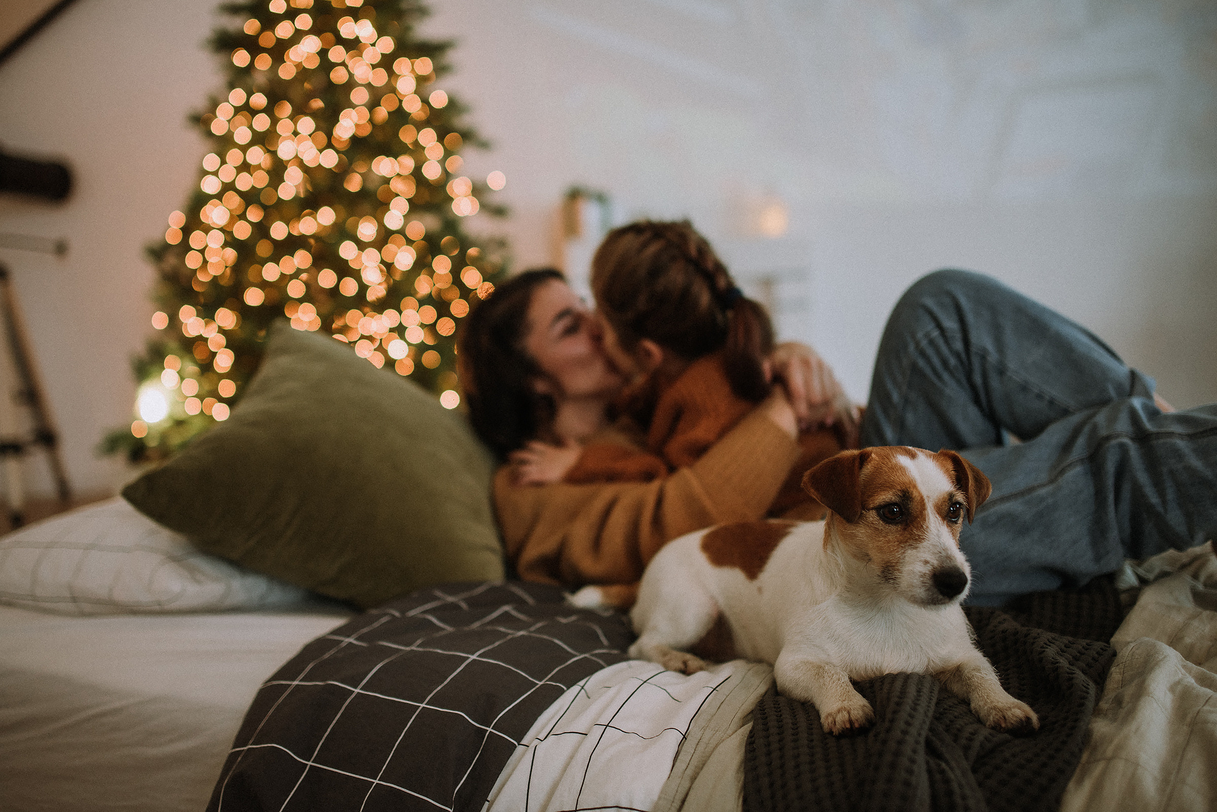 Алина, дочка София и собака. Фотограф в Санкт-Петребурге и в Великих Луках Волченкова Екатерина