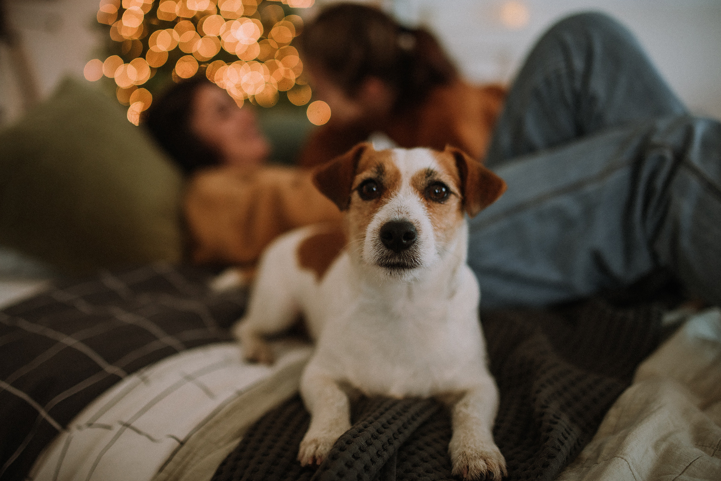 Алина, дочка София и собака. Фотограф в Санкт-Петребурге и в Великих Луках Волченкова Екатерина
