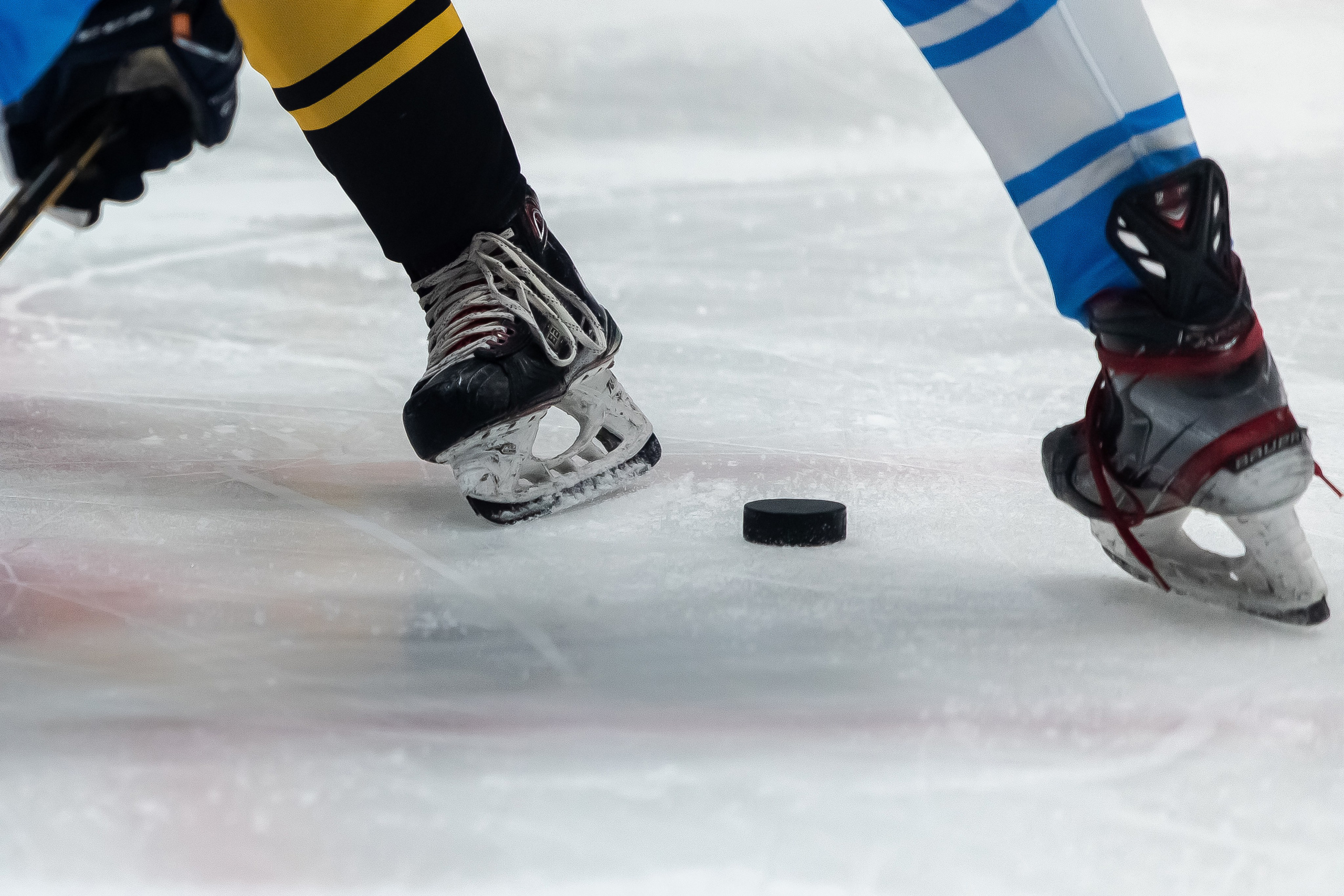 Хоккей. Фотограф Тимербаева Алина г. Сургут