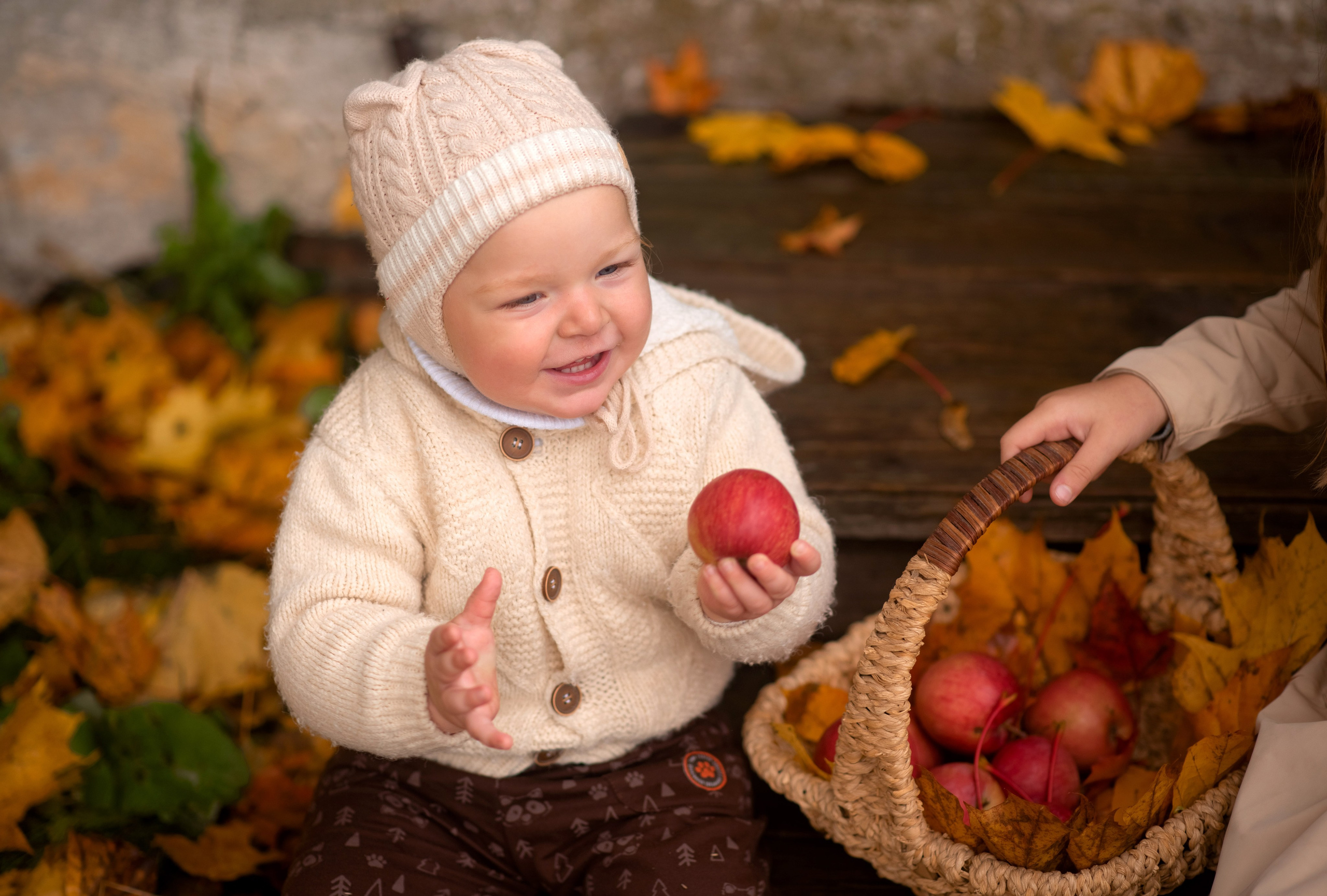 Семейная фотосессия в Ясной Поляне. Осень. Семейный и детский фотограф в Туле Светлана Воронкова