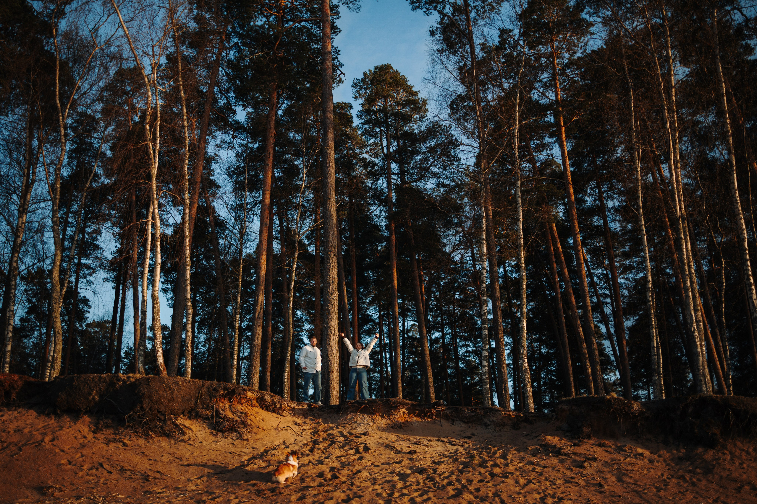 Найт и его семья. Фотограф — Анималист | Санкт-Петербург