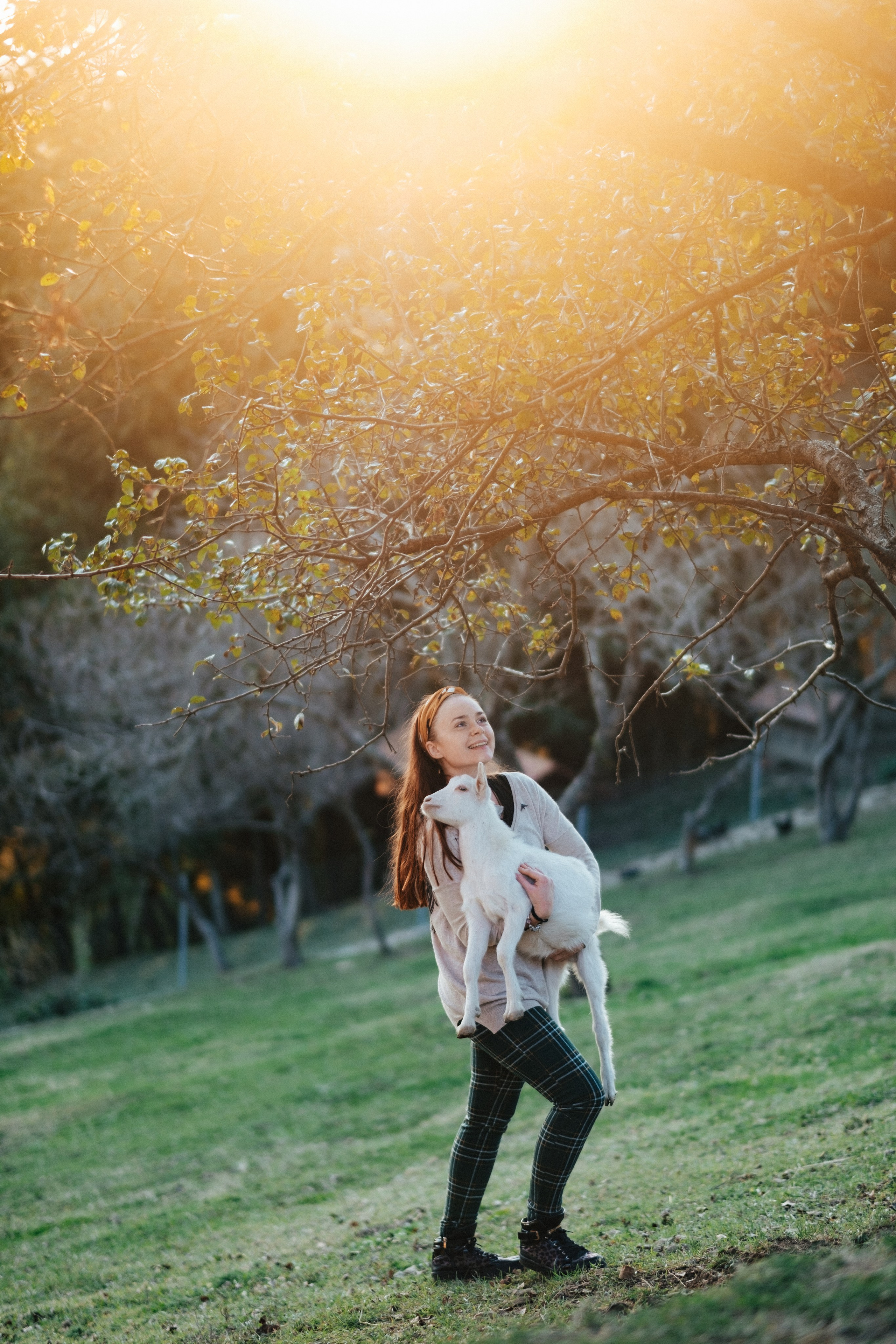 Экзархо. Свадебный Видеограф Фотограф в Сочи