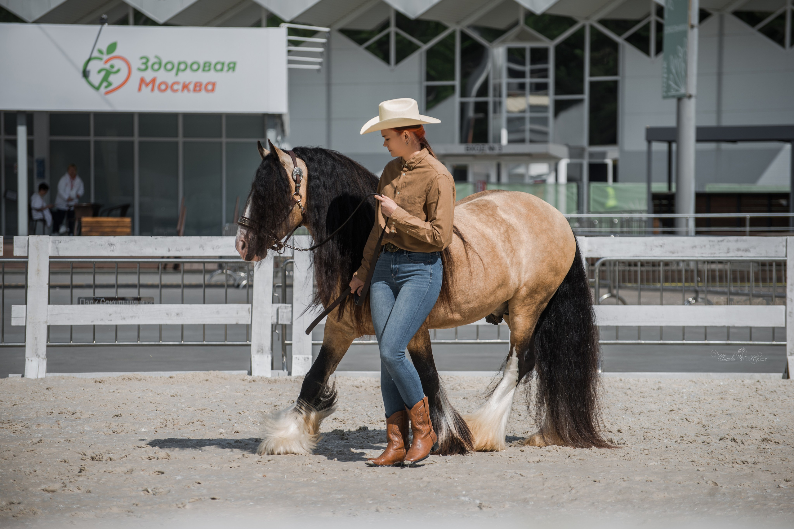 Эквирос, Москва. Конный фотограф в Саратове Юлия Иванова