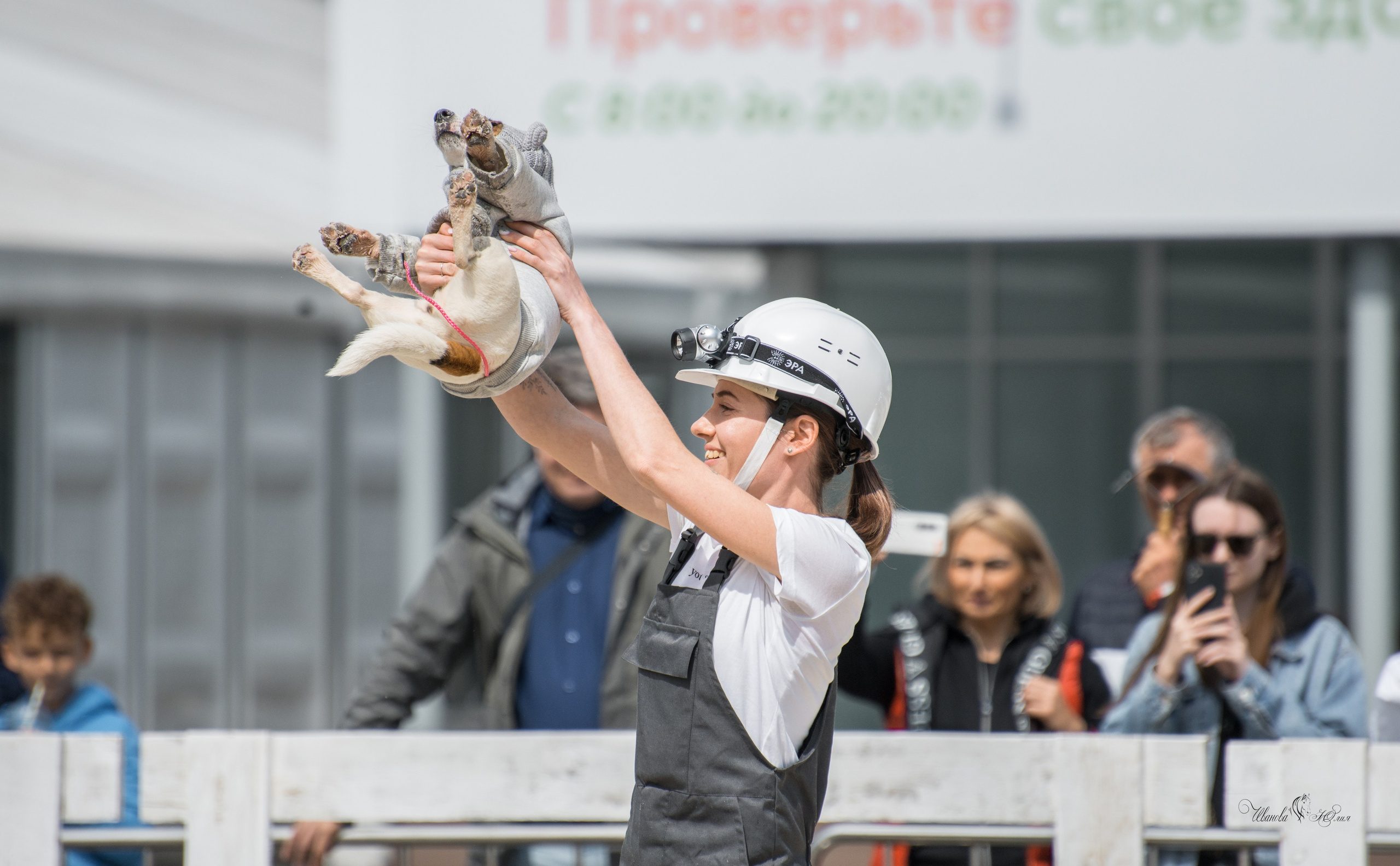 Эквирос, Москва. Конный фотограф в Саратове Юлия Иванова