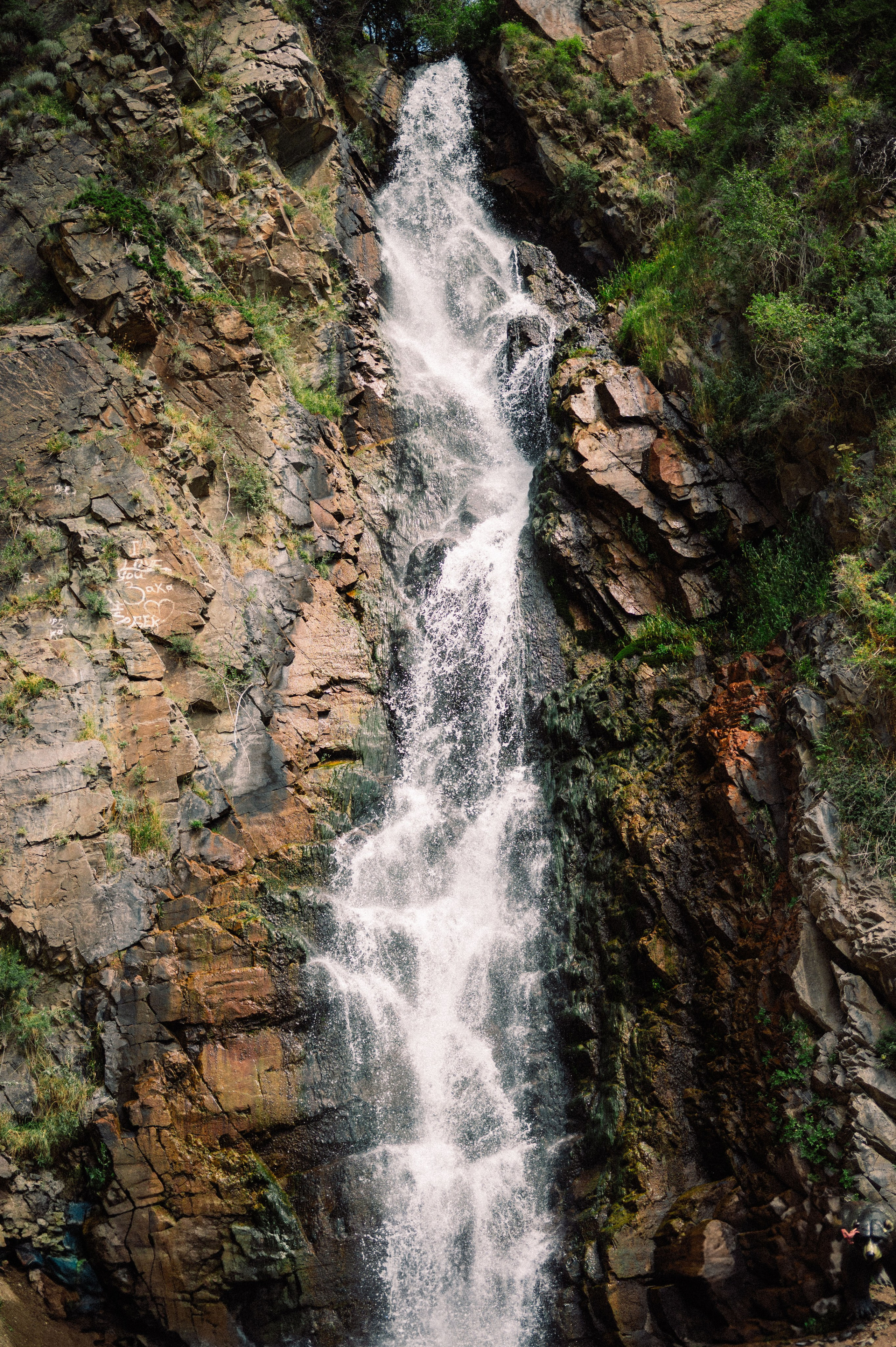 Плато Ассы: июль 2025. Фотограф в Алматы — Дарья Фёдорова
