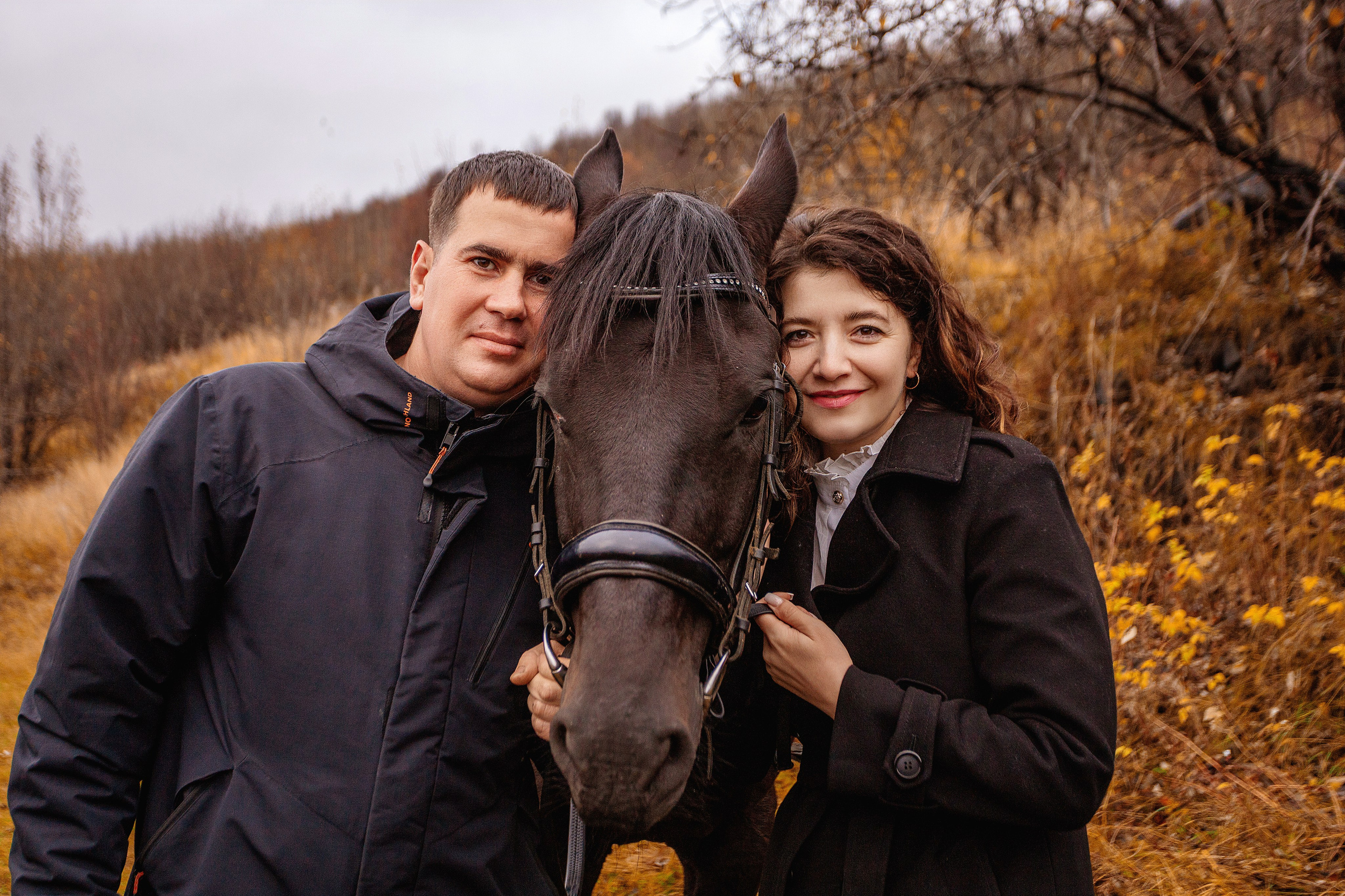 Horses. Фотограф Мурманск Лилия Маер
