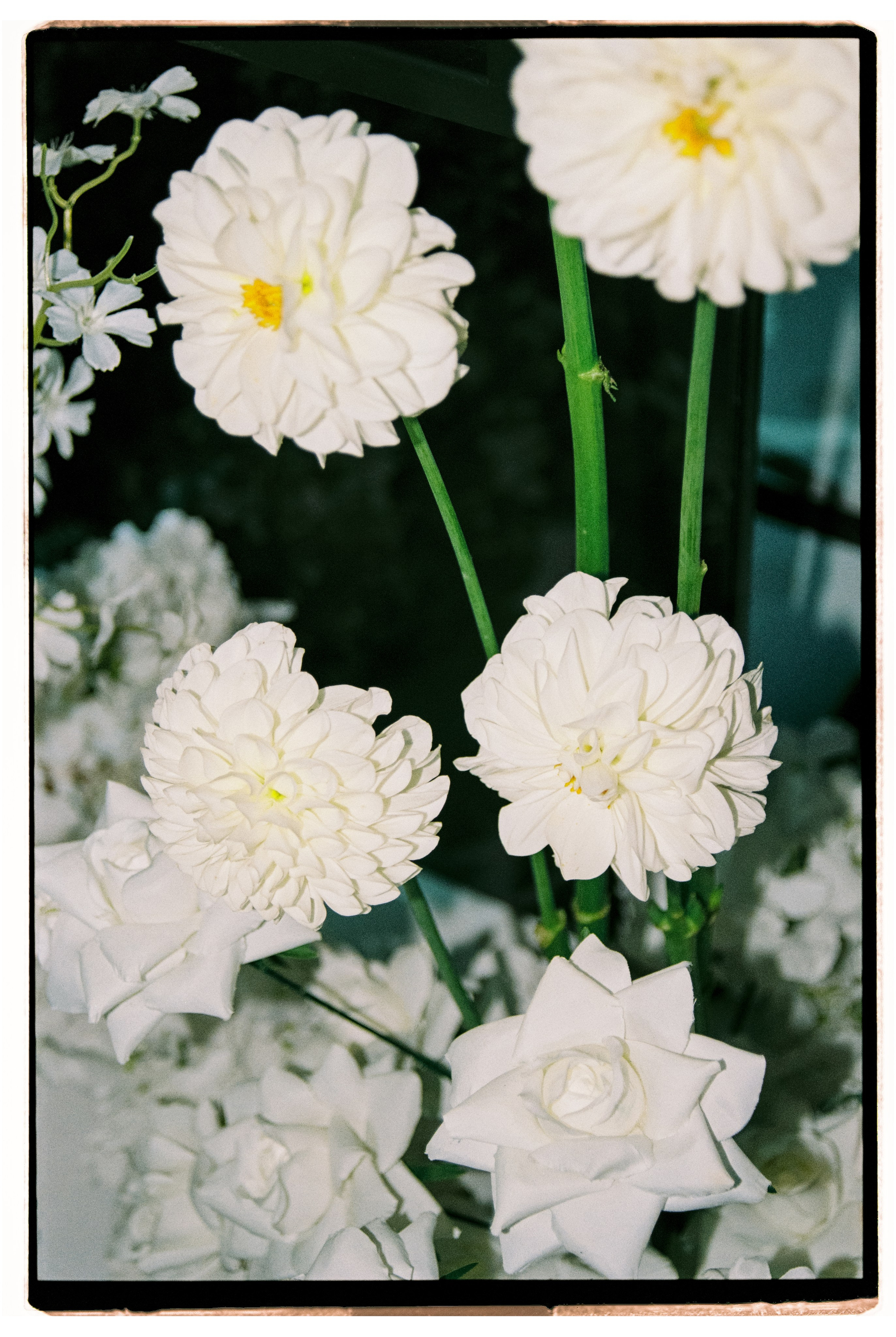 Пленка. Свадебный фотограф в Ростовe-на-Дону Анастасия Прутова