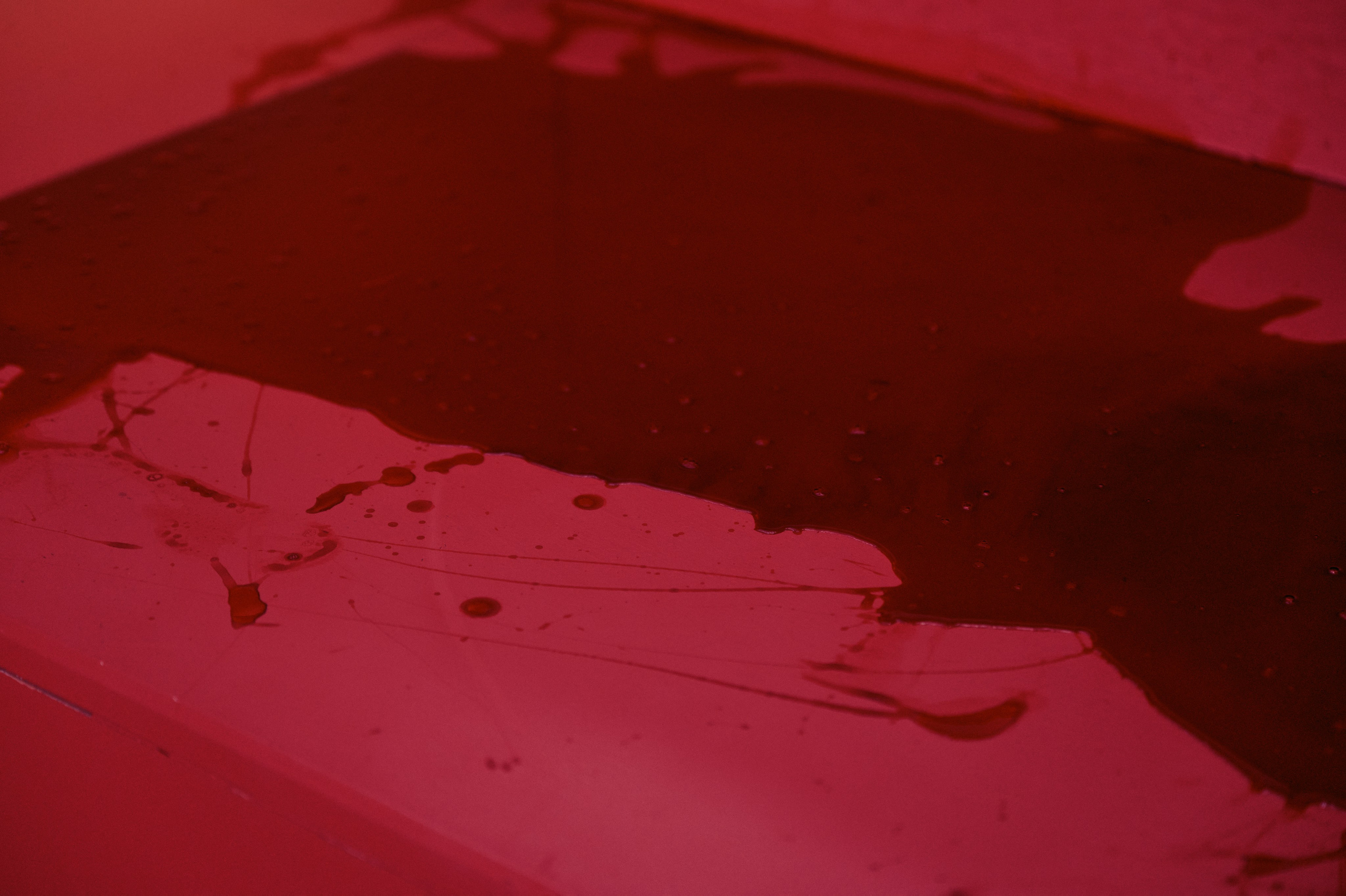 Перформанс СТЫД. Свадебный фотограф в Ростовe-на-Дону Анастасия Прутова