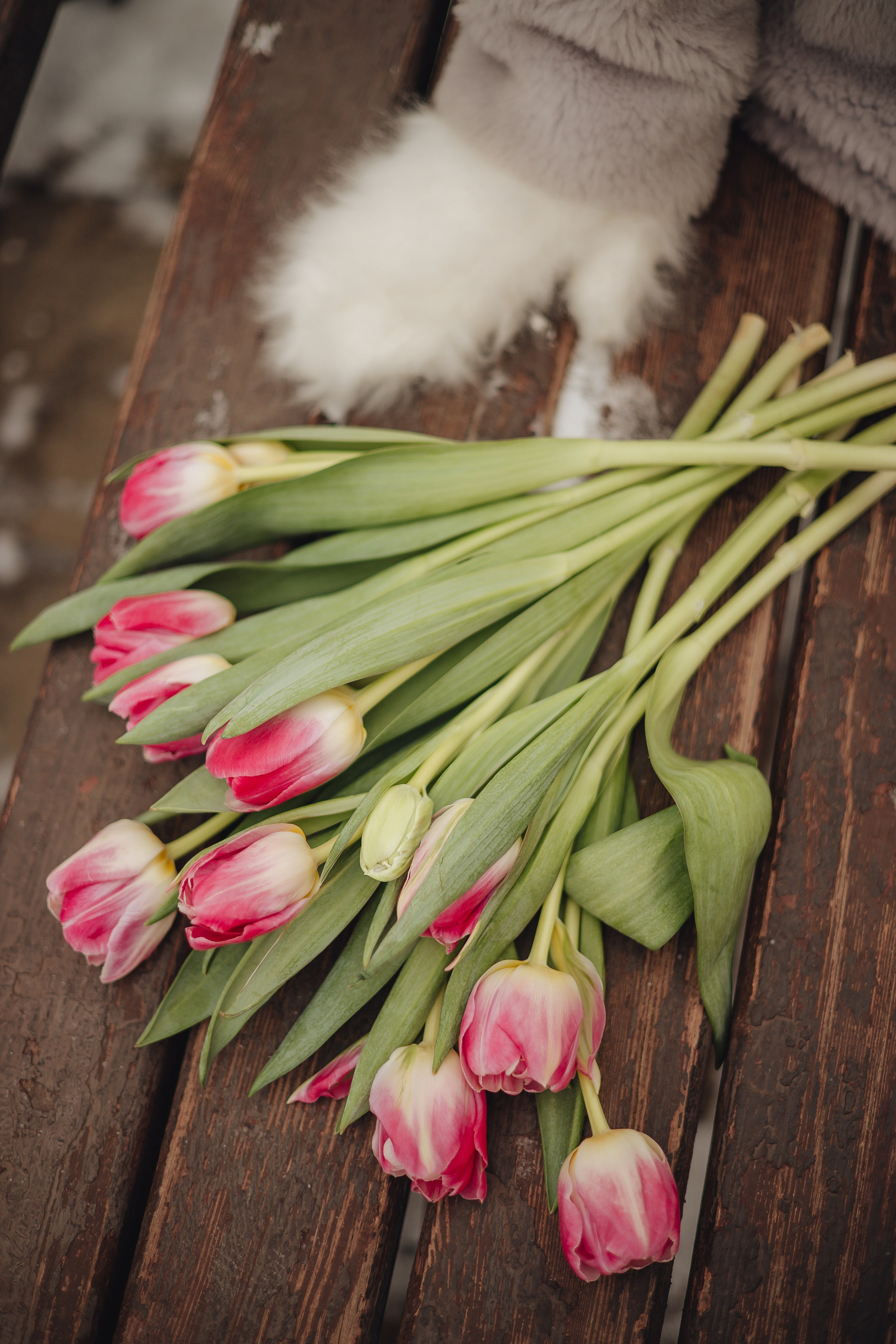 Оля. Фотопрогулка. Свадебный и семейный фотограф Пушкин Царское Село СПБ Питер Санкт-Петербург и Рязань Ольга Козлова