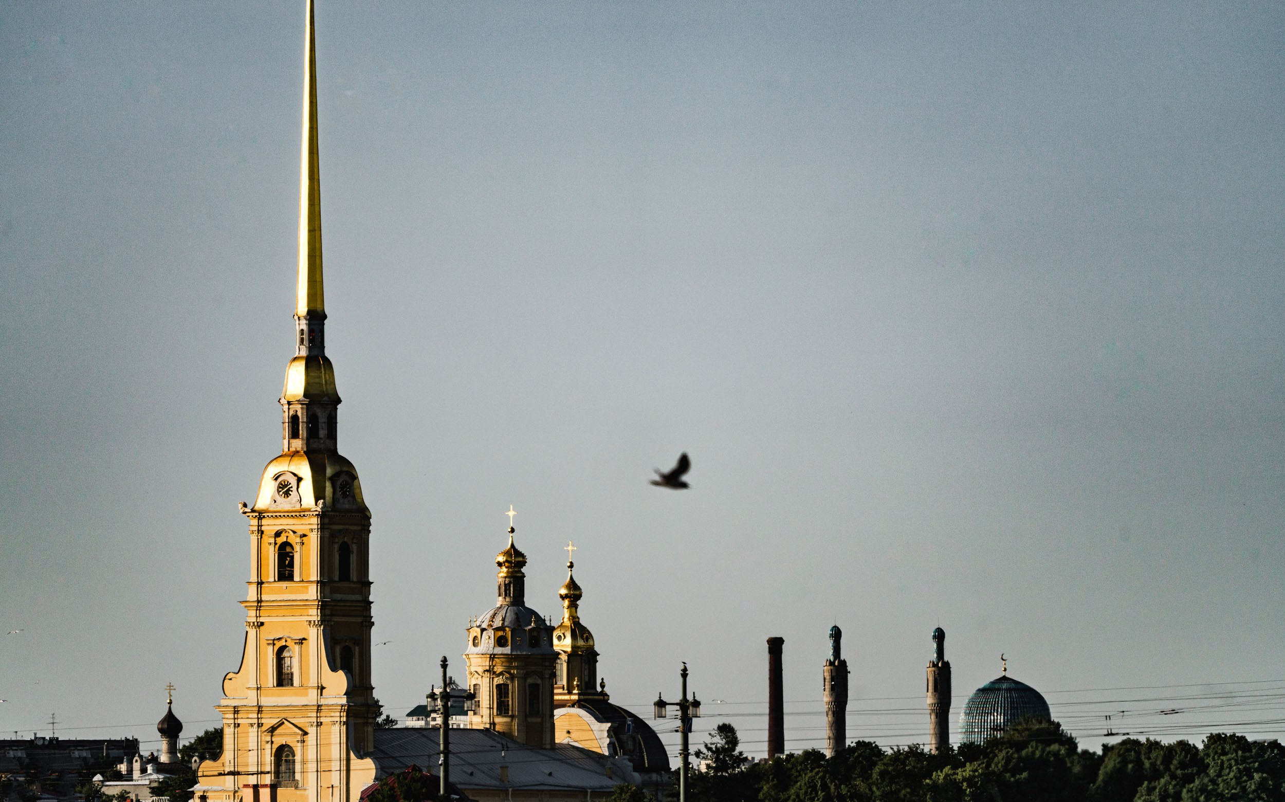 Saint Petersburg. The Andris